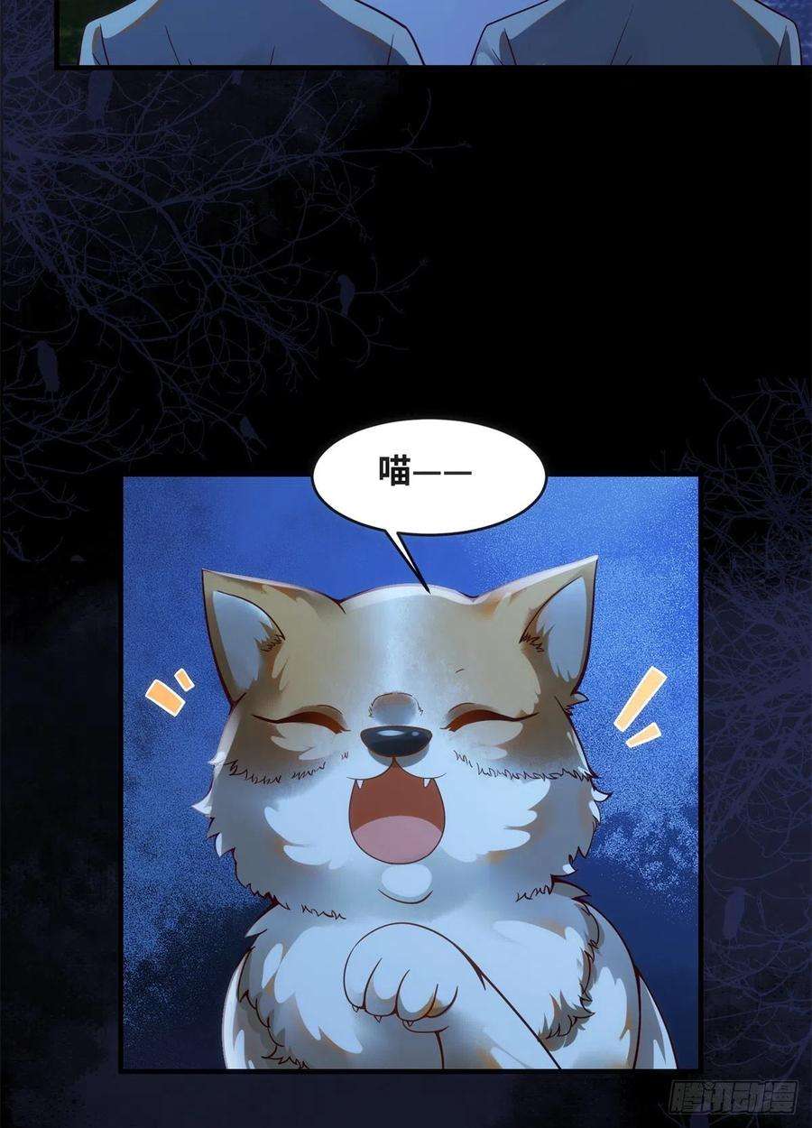 逆天神妃至上72话 潜伏