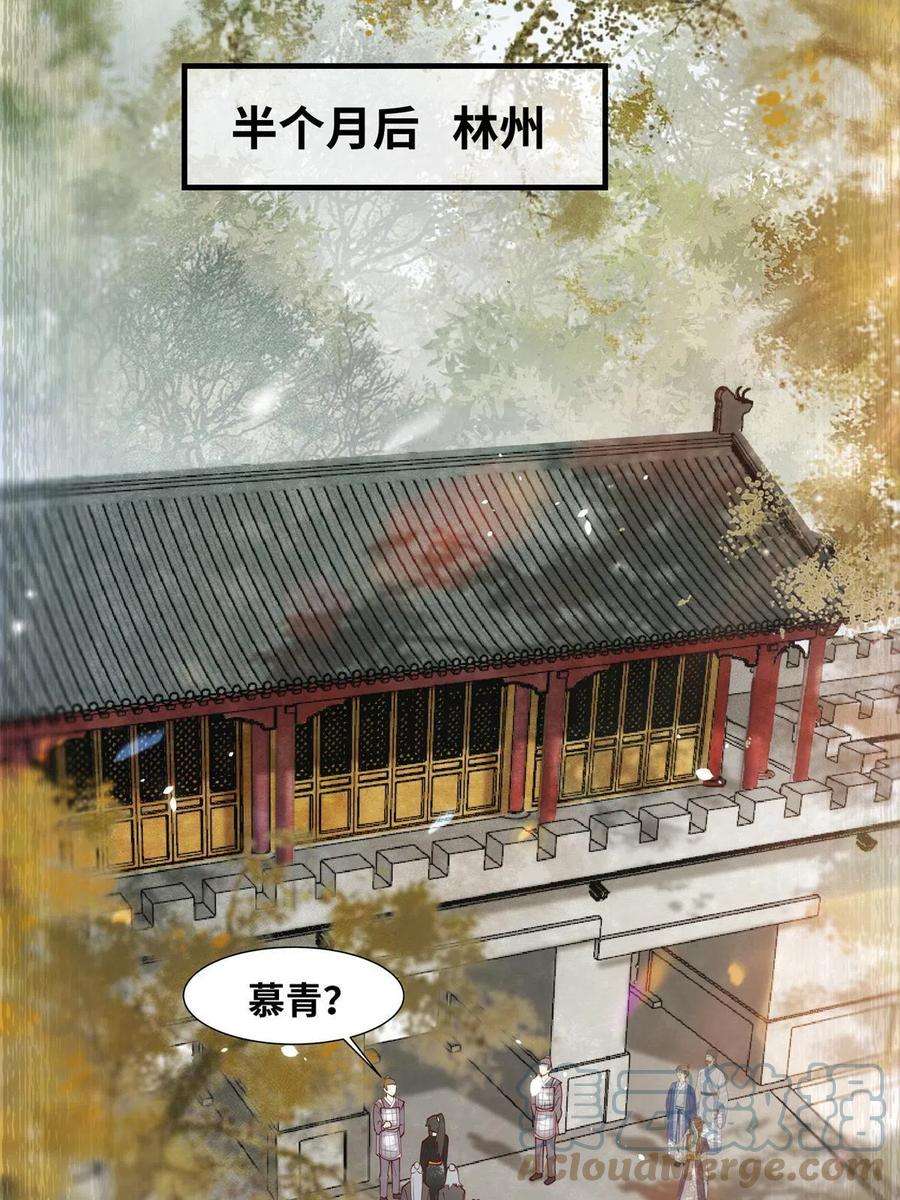 逆天神妃至上83话 公子如玉