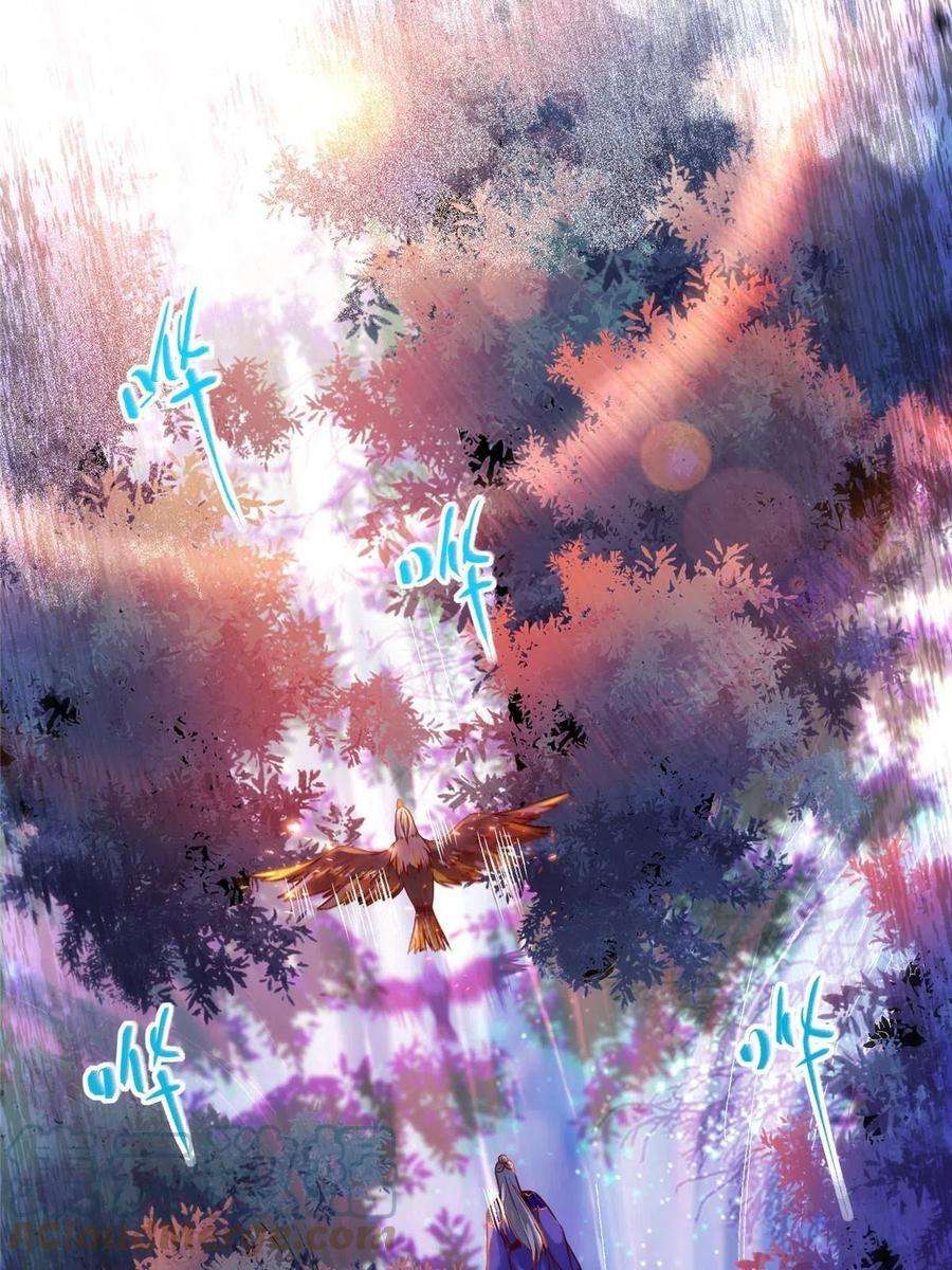 逆天神妃至上105话 狩猎开始