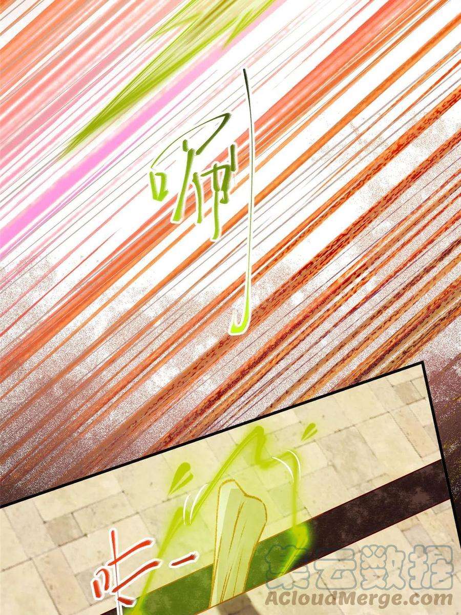 逆天神妃至上117话 算你有眼光！