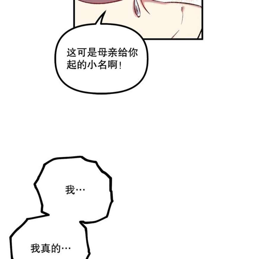 幸运还是不幸15.捧花