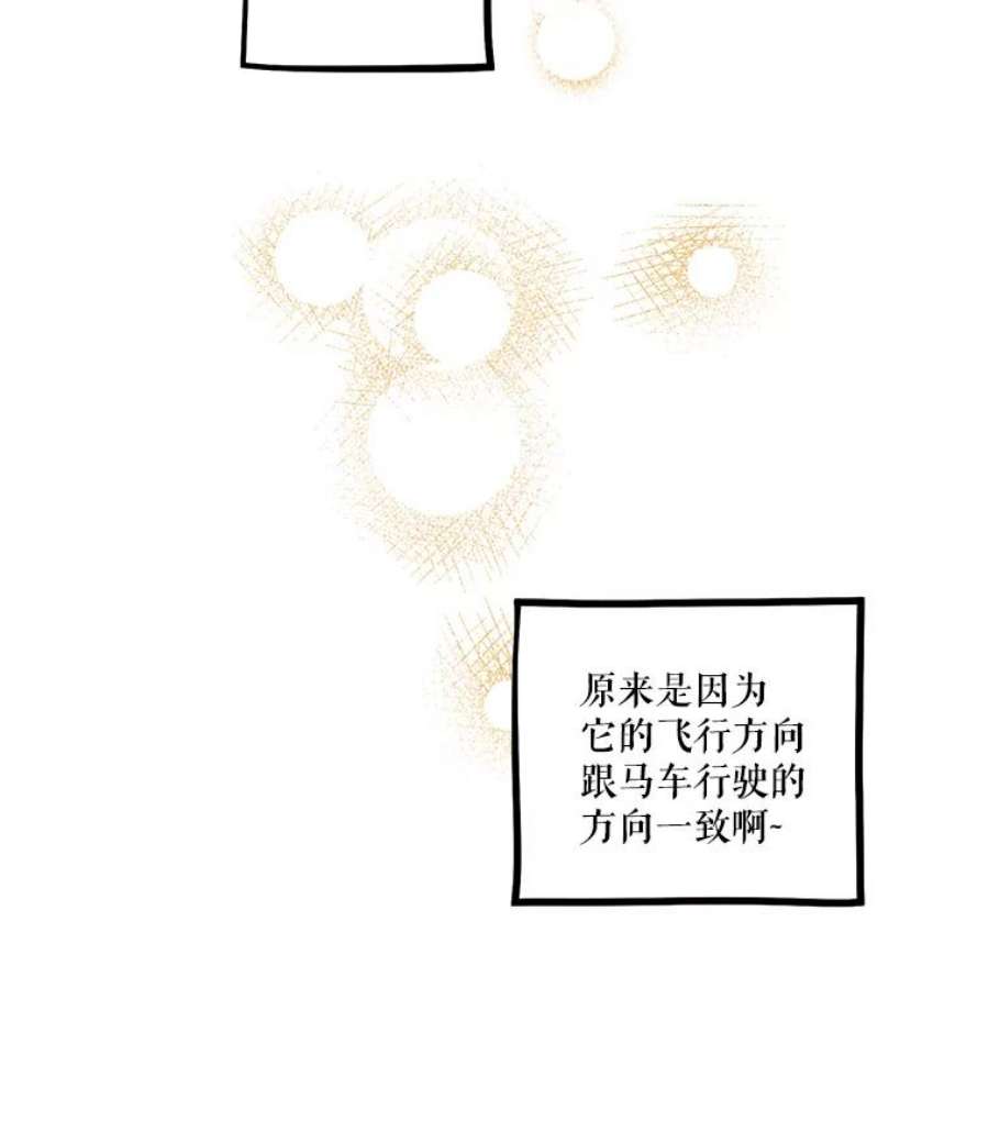 幸运还是不幸16.新家