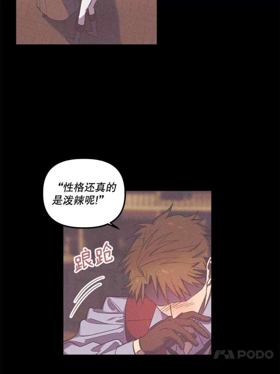 幸运还是不幸29.演技