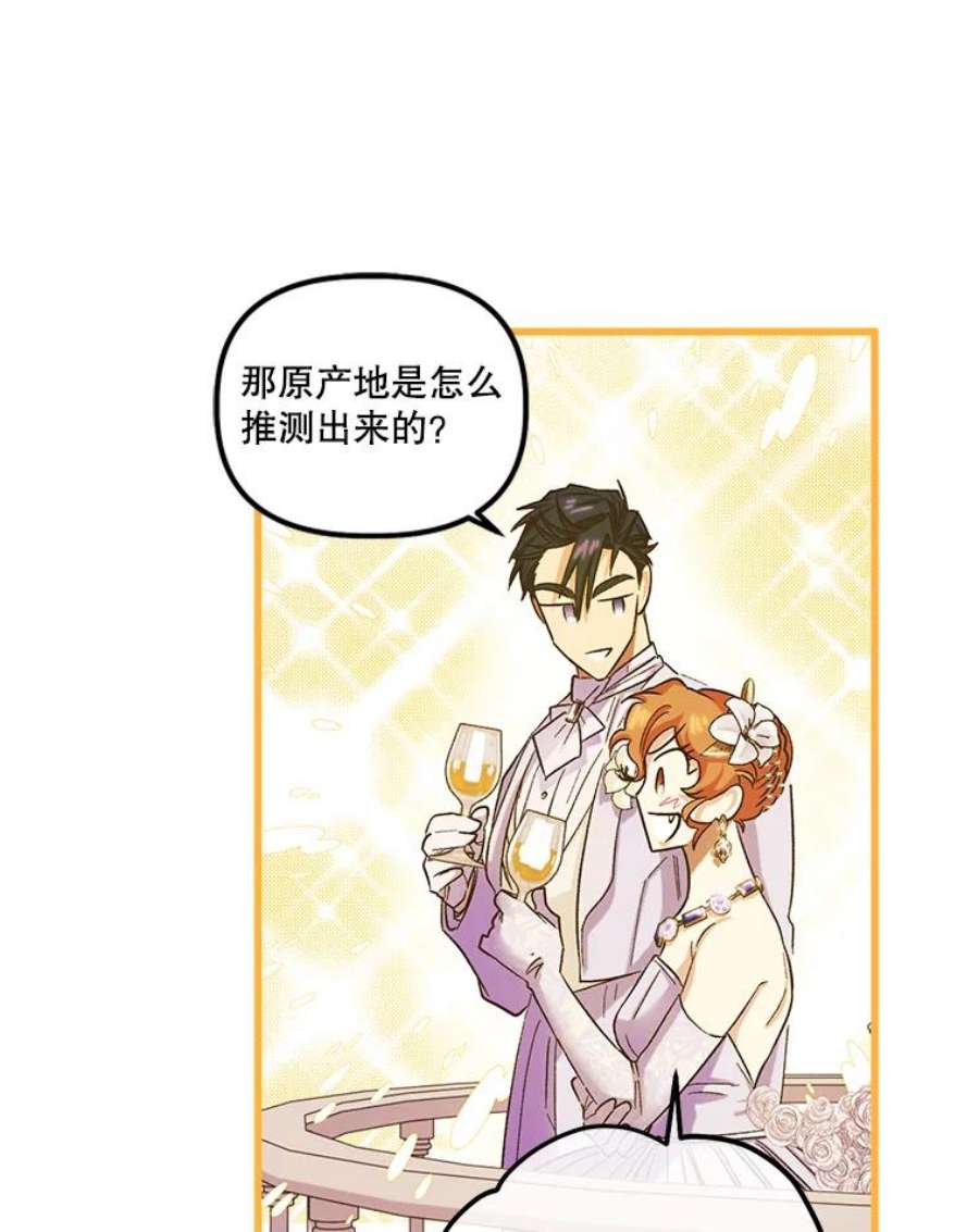 幸运还是不幸54.品酒