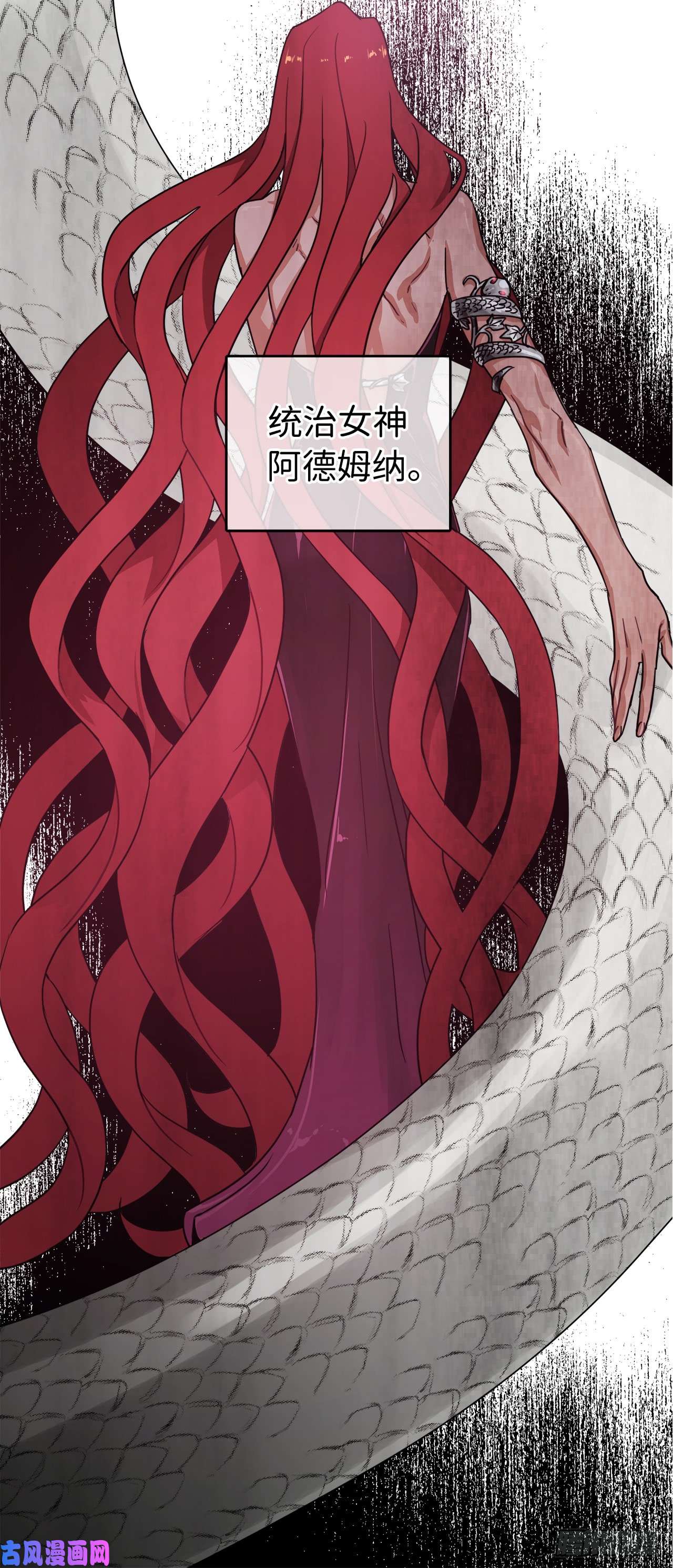 琪拉的美男图鉴19.文化差异