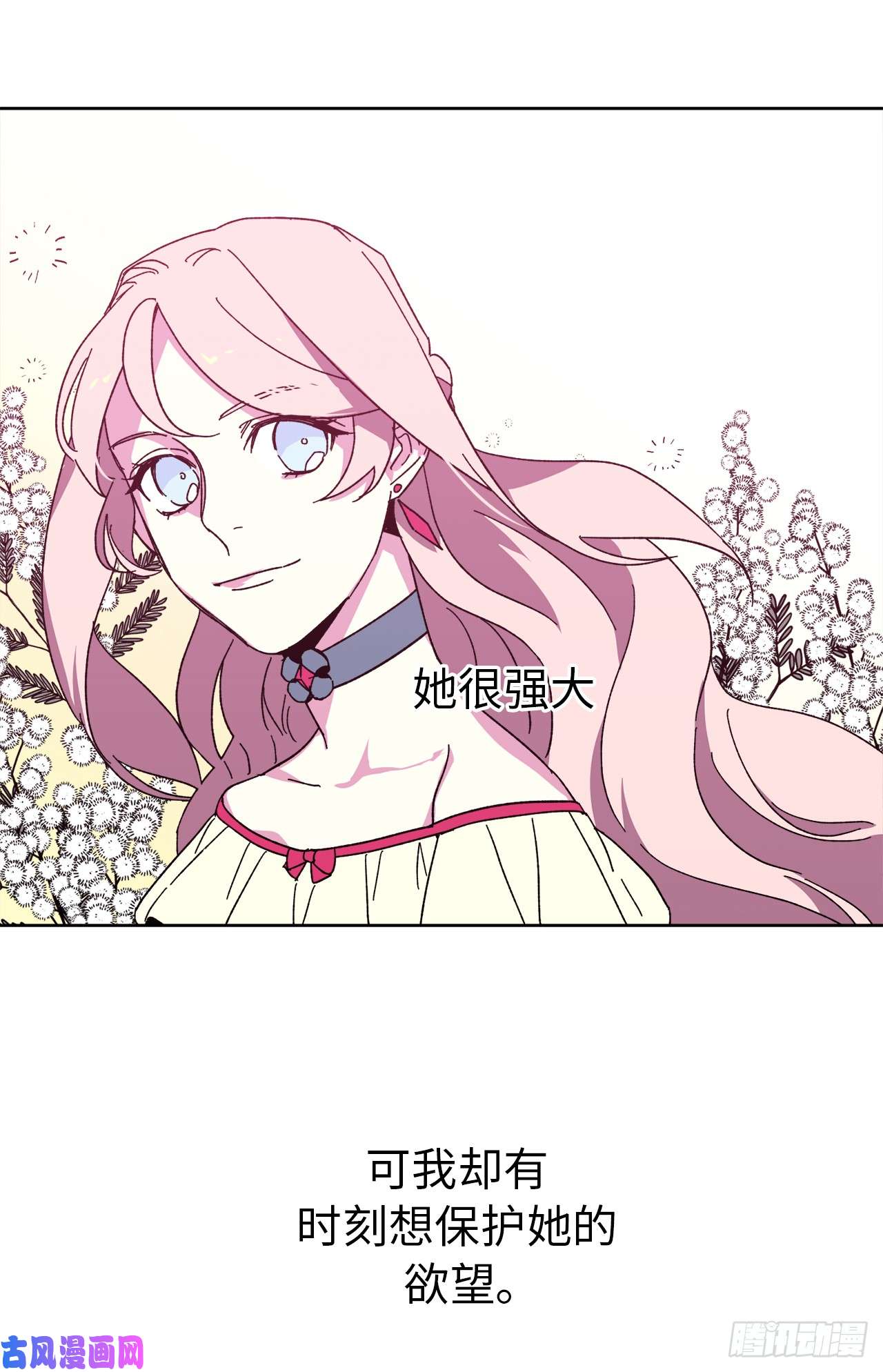 琪拉的美男图鉴21.保护她的欲望