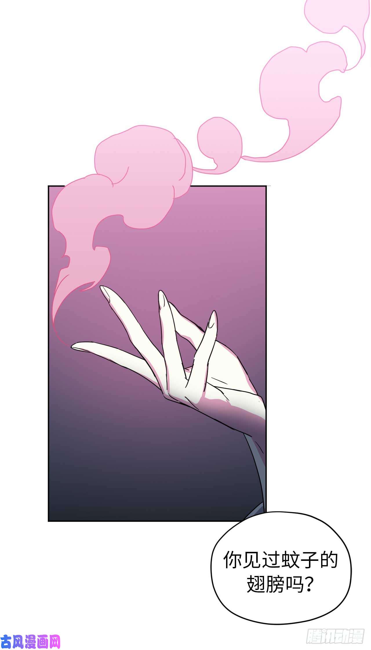 琪拉的美男图鉴29.美之女神