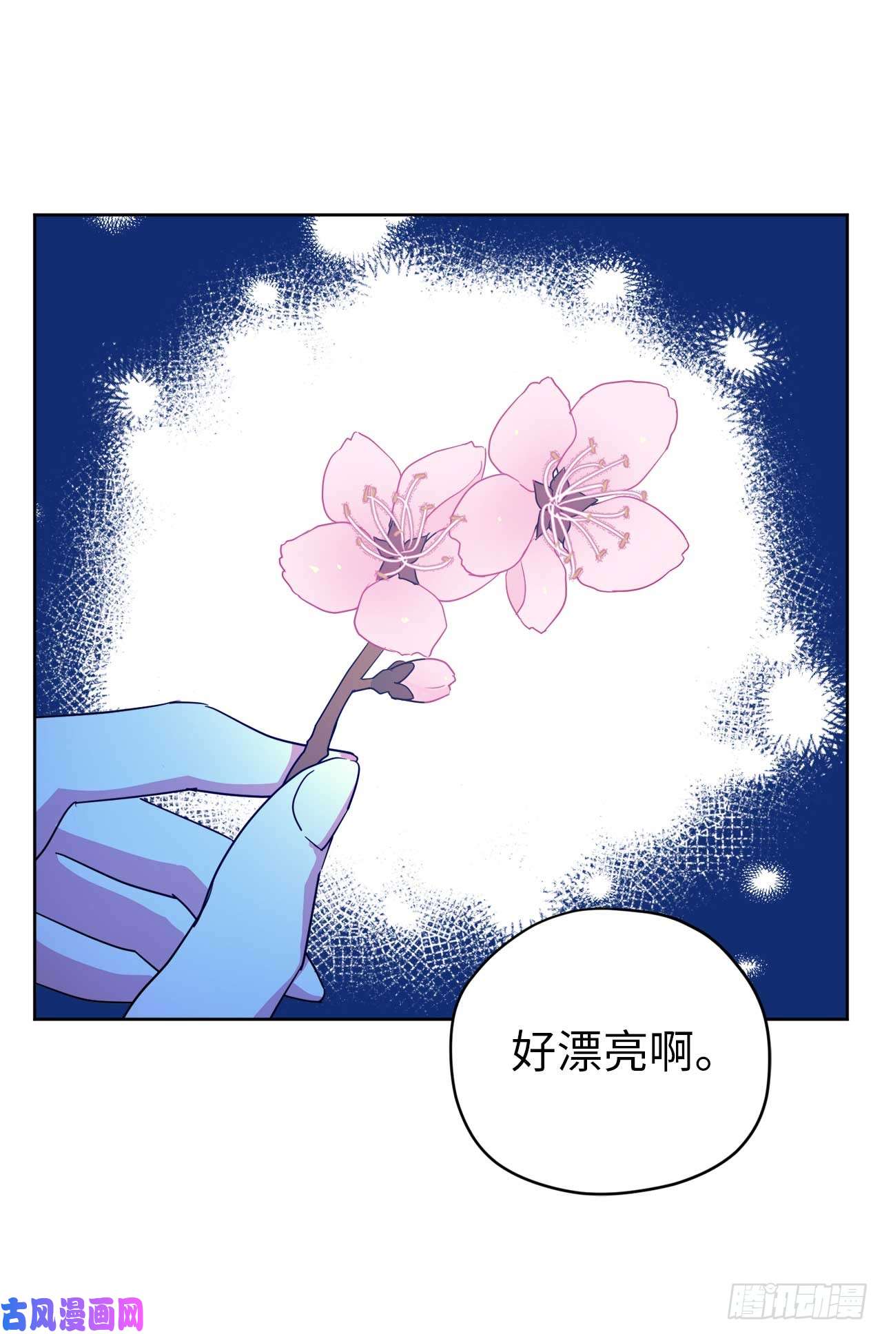 琪拉的美男图鉴30.桃花煞