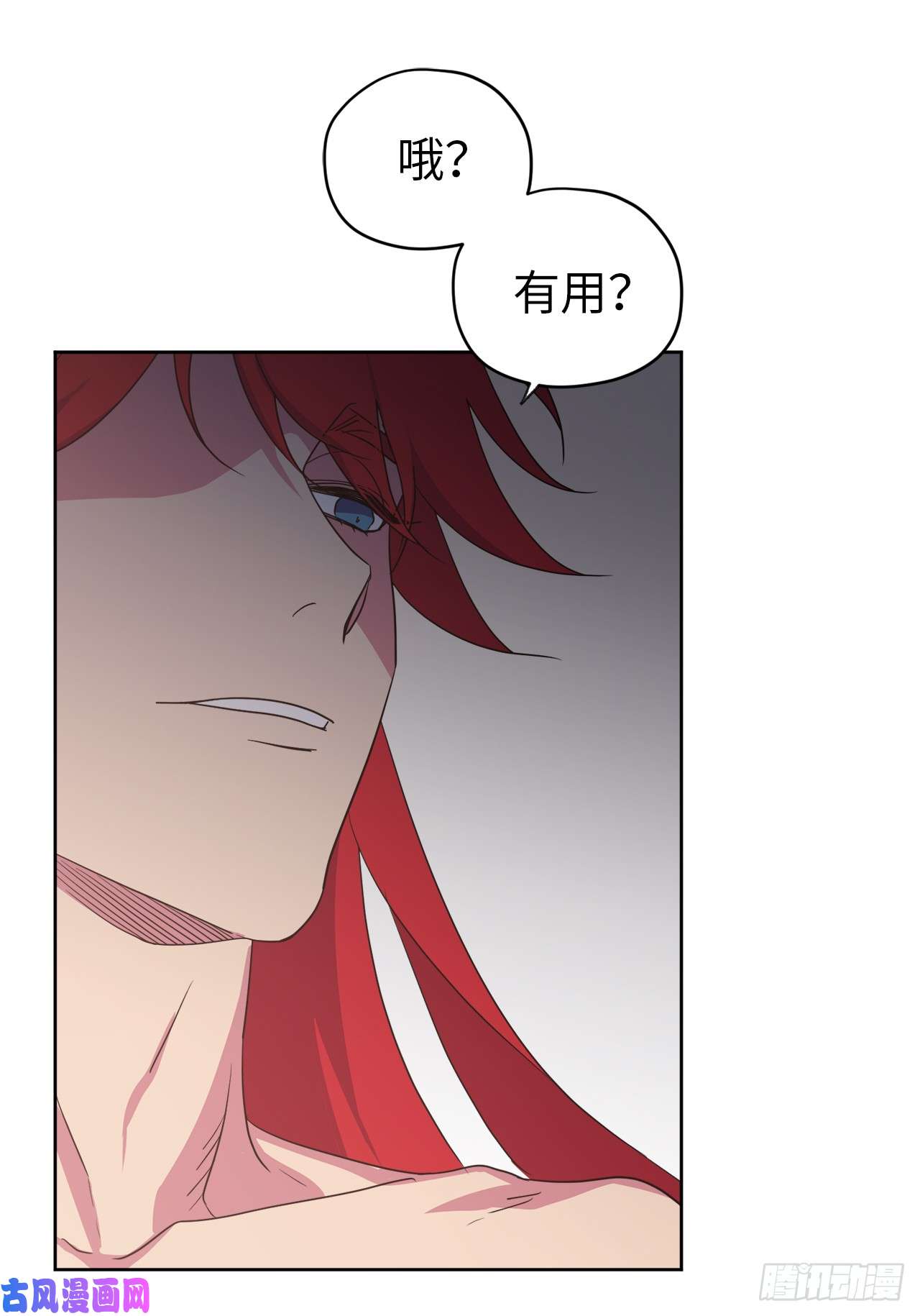 琪拉的美男图鉴33.泰莱斯