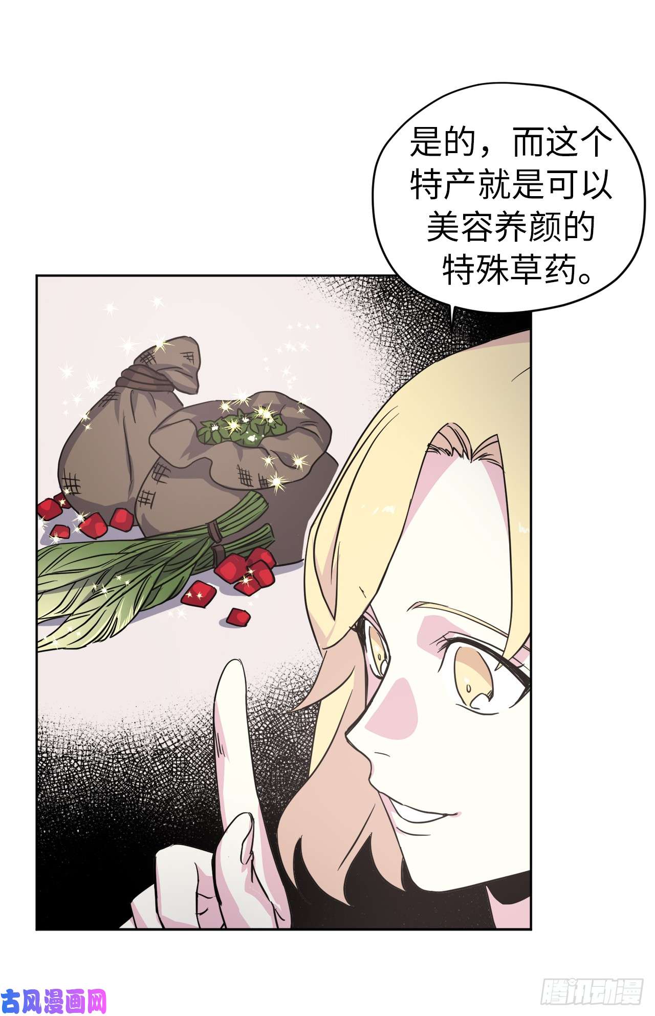 琪拉的美男图鉴45.合格的领主