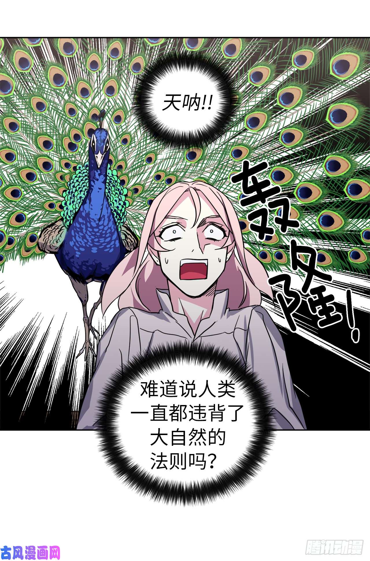 琪拉的美男图鉴46.完美的配合