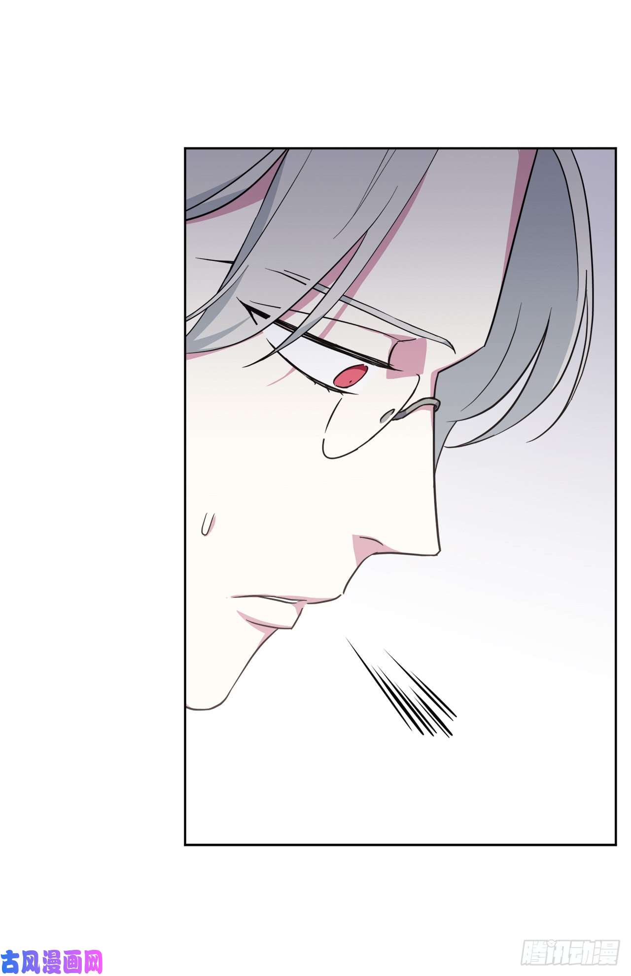 琪拉的美男图鉴70.他吻了我！