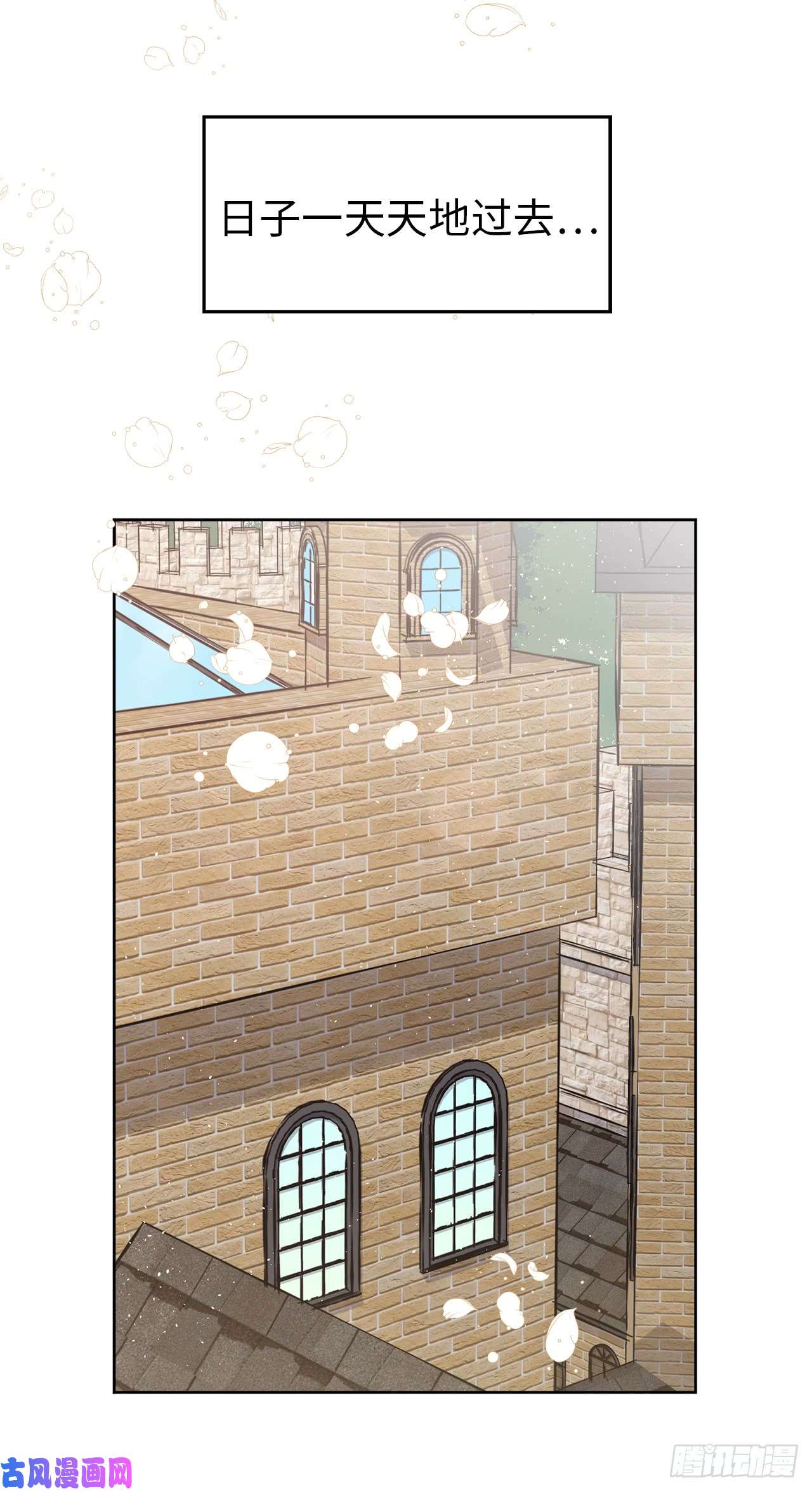 琪拉的美男图鉴77.四星装备皮衣