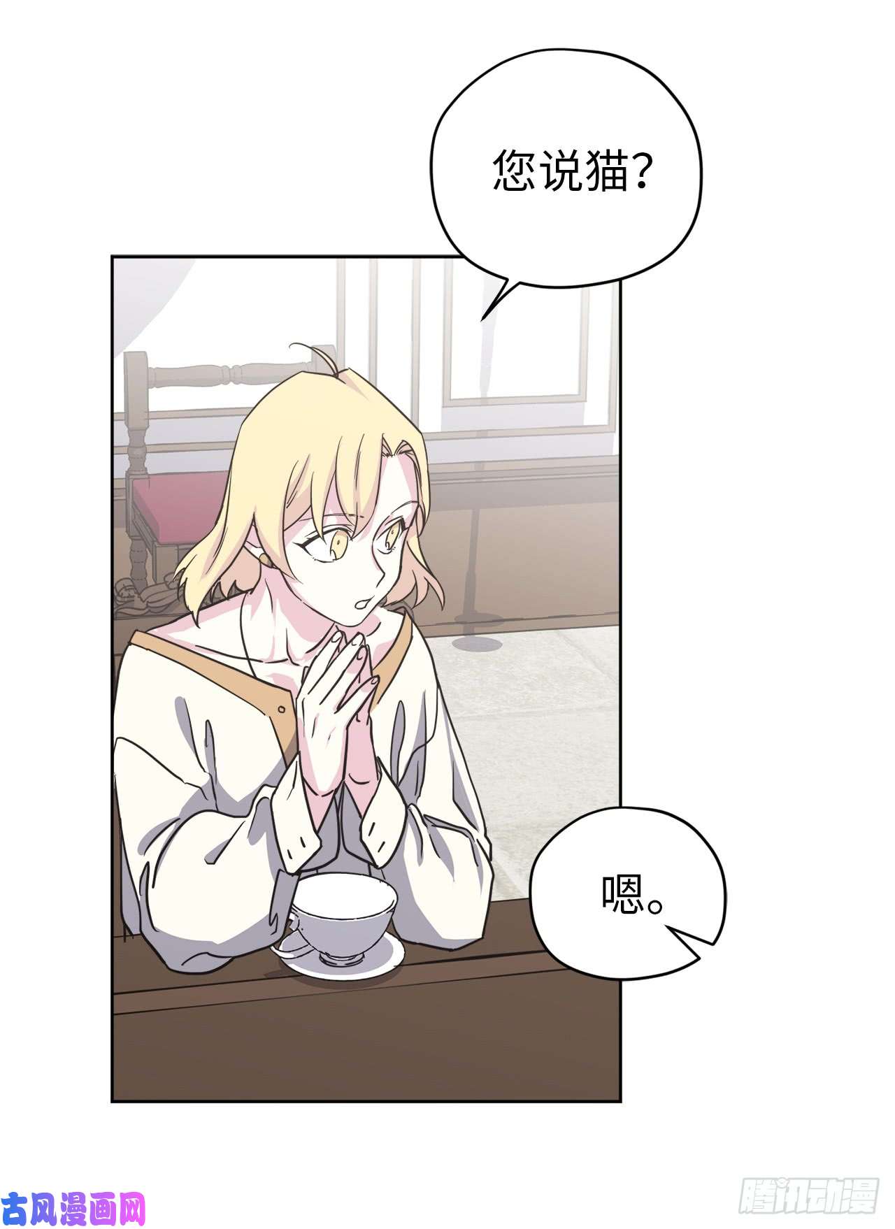 琪拉的美男图鉴91.第二季开篇