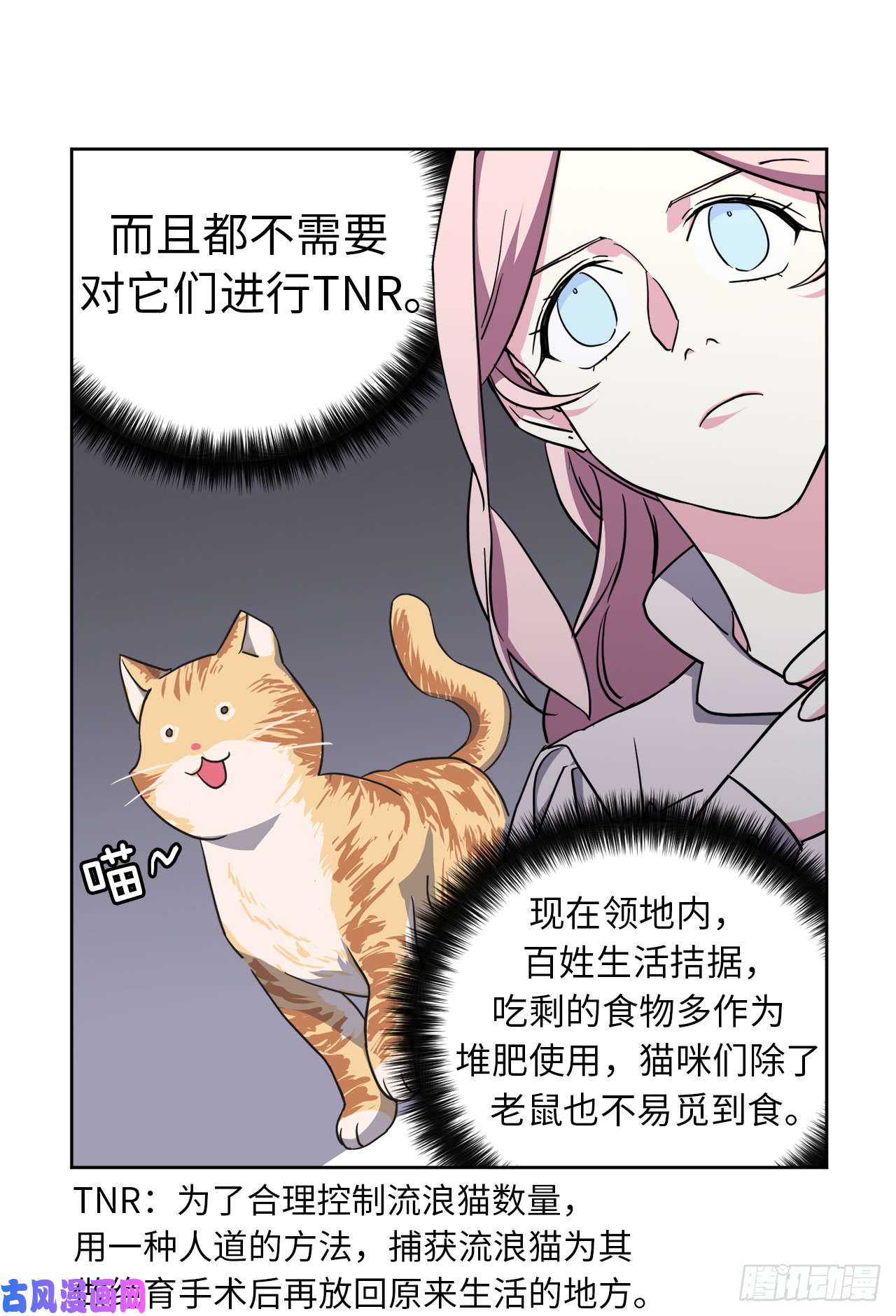 琪拉的美男图鉴91.第二季开篇