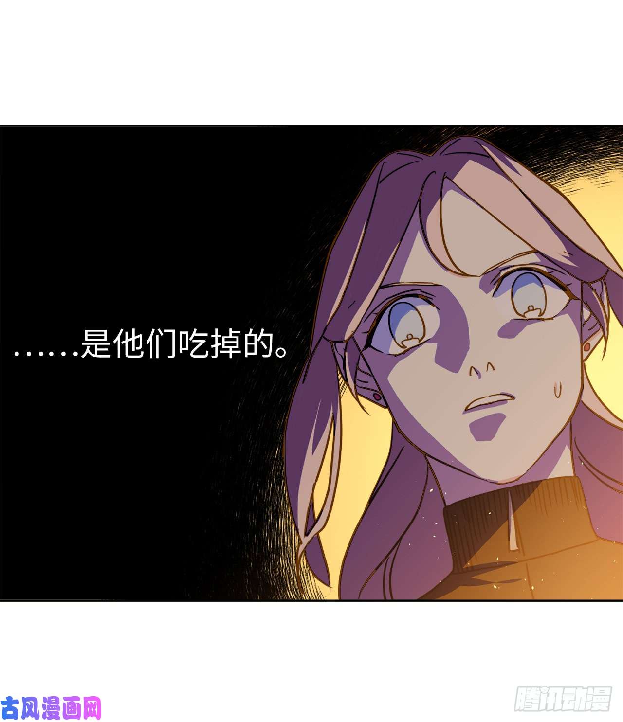 琪拉的美男图鉴100.双胞胎精灵