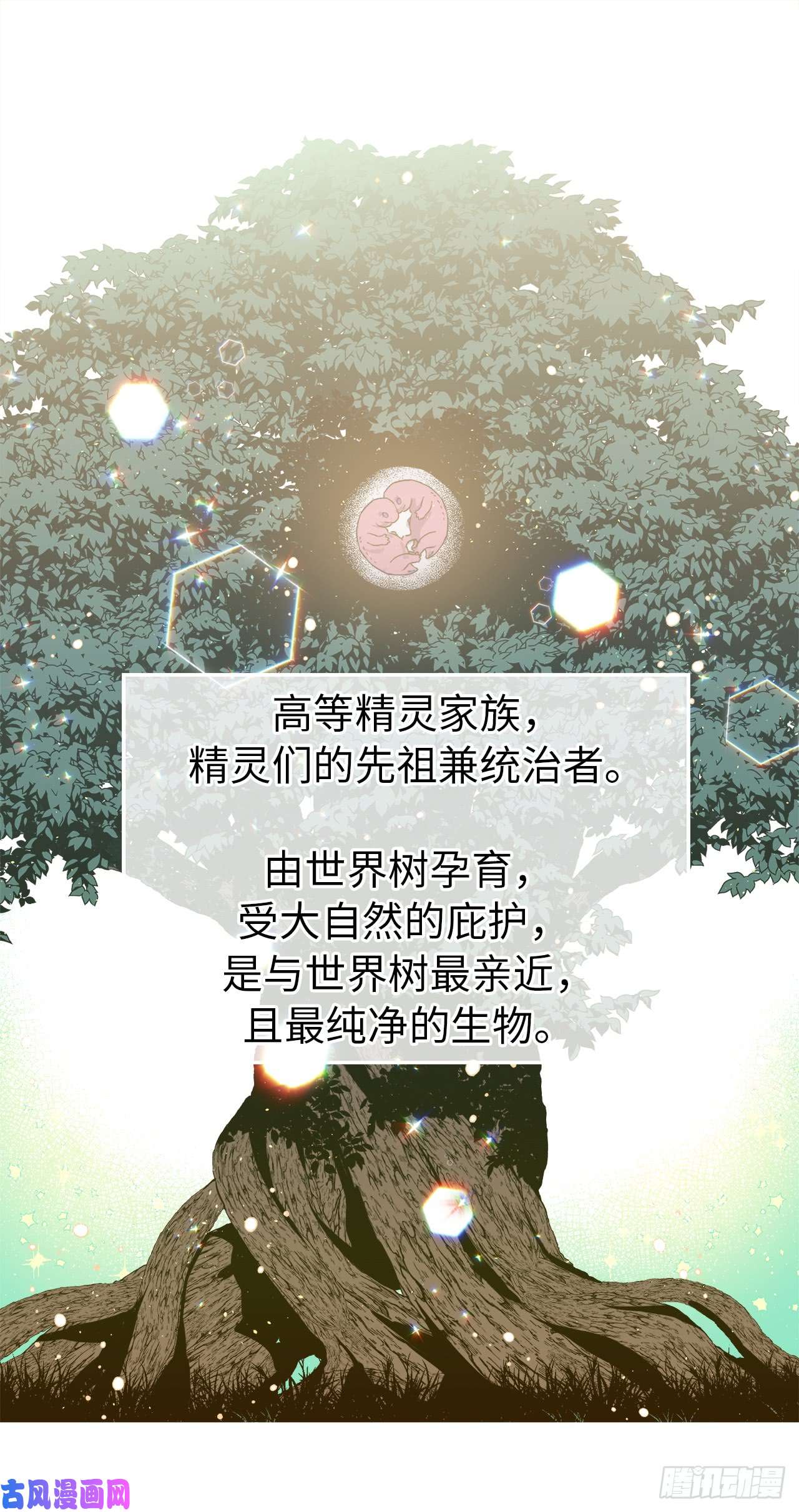 琪拉的美男图鉴101.精灵的身世