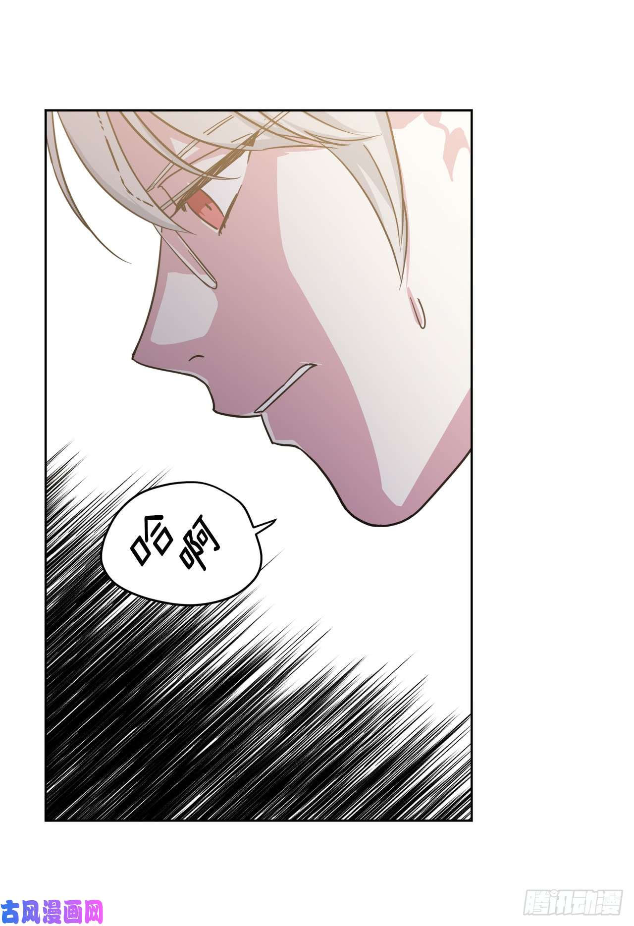 琪拉的美男图鉴101.精灵的身世