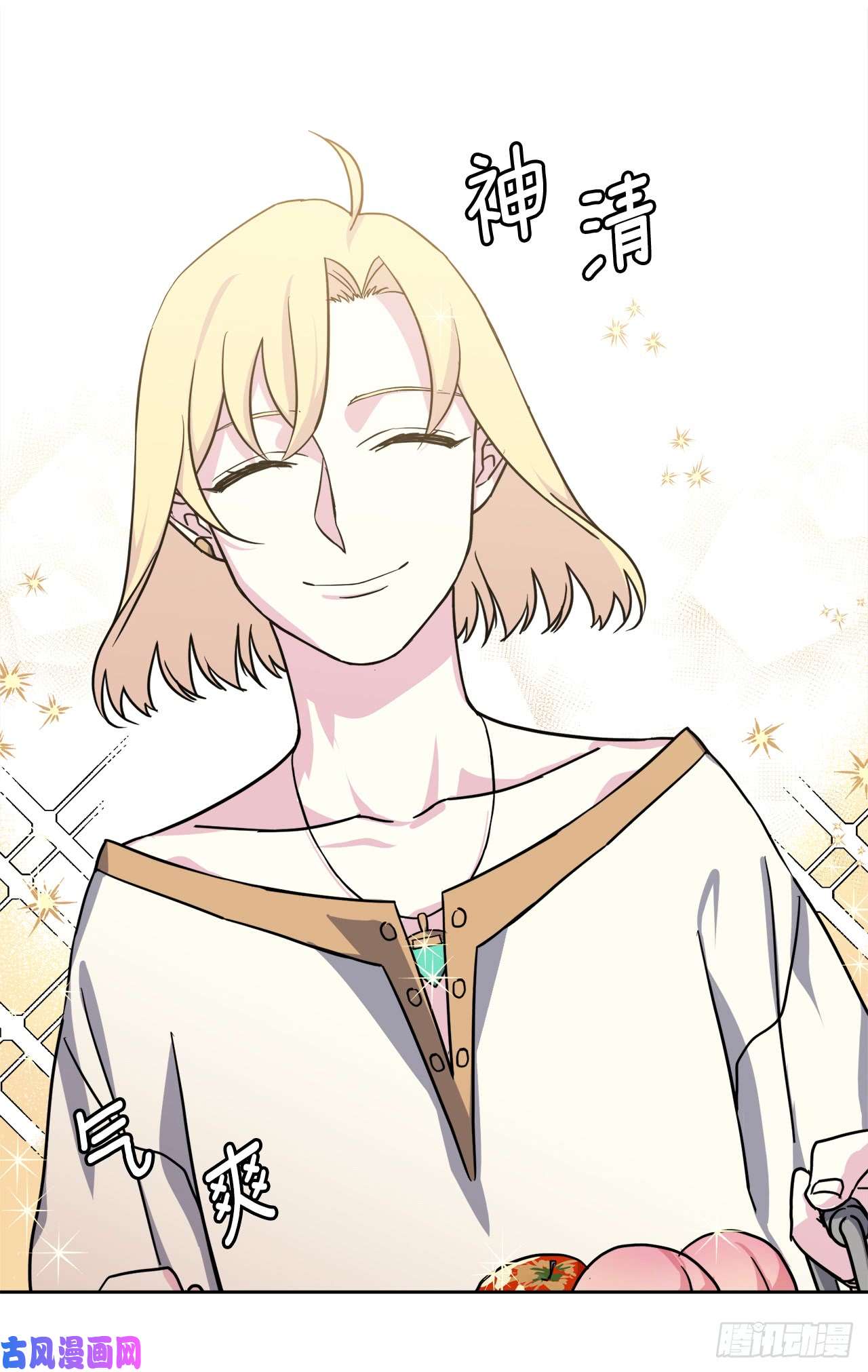 琪拉的美男图鉴101.精灵的身世