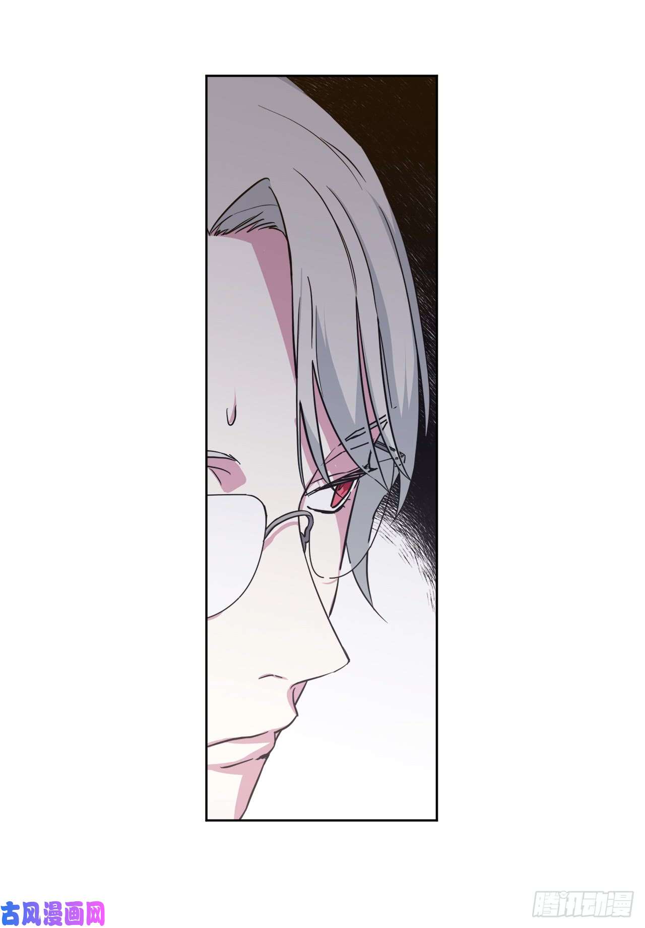 琪拉的美男图鉴101.精灵的身世