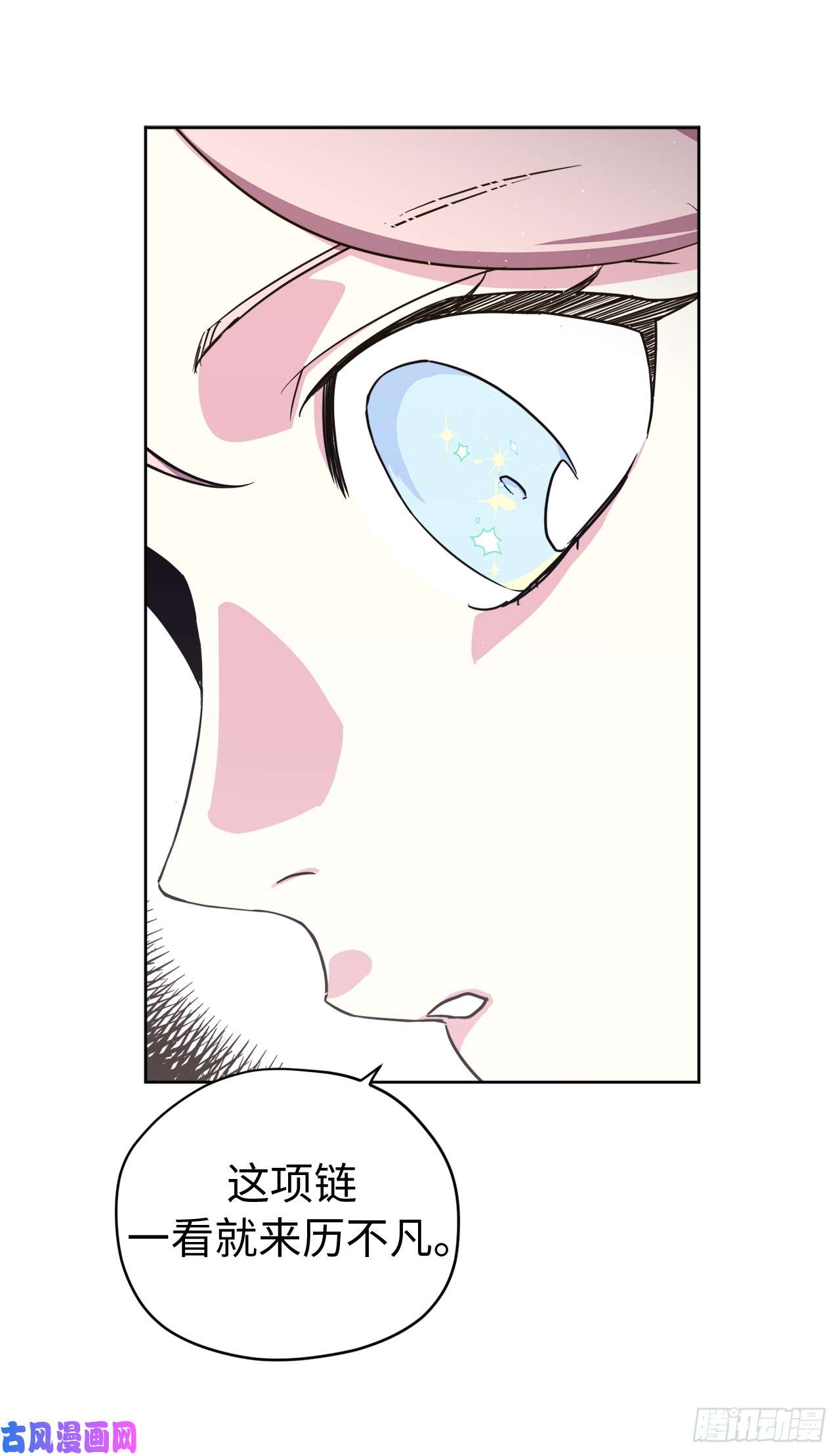 琪拉的美男图鉴101.精灵的身世