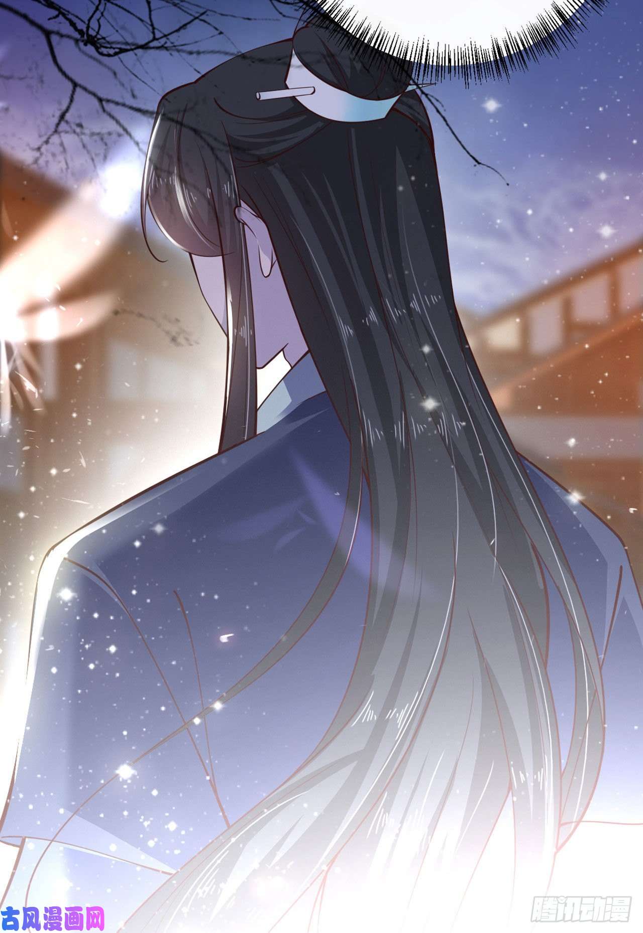 凤御邪王第28话 遭遇暗杀