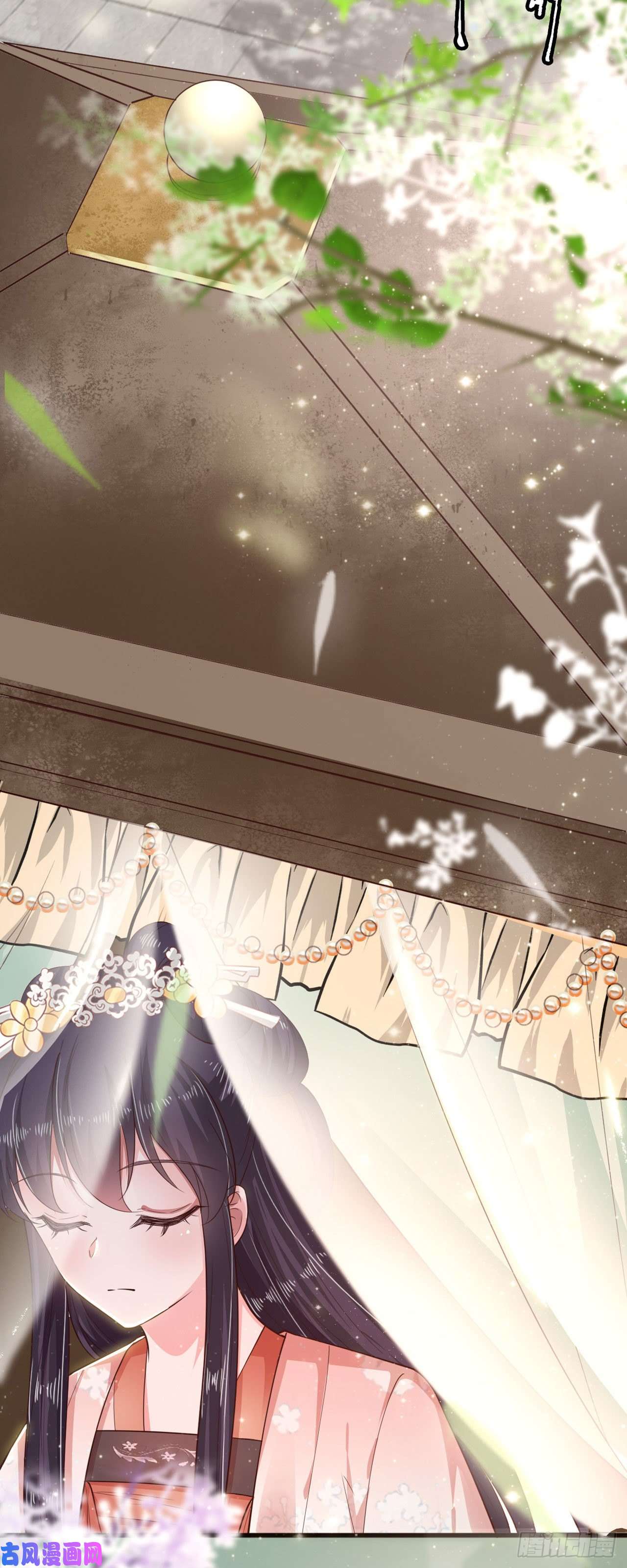 凤御邪王第34话 进宫