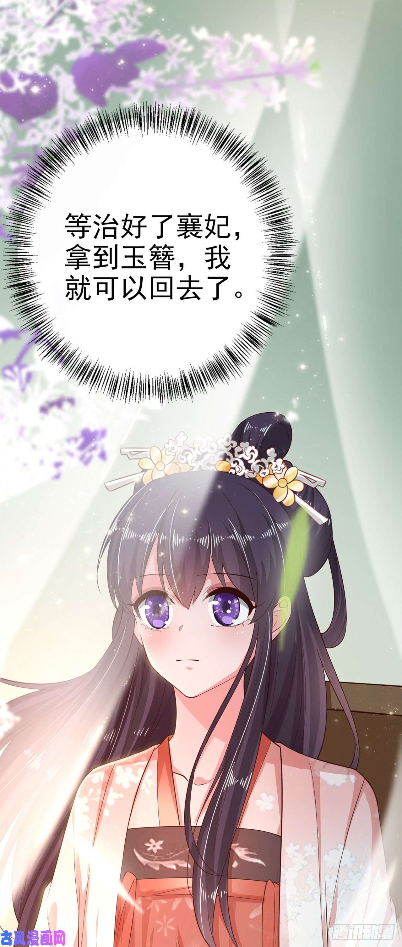 凤御邪王第34话 进宫