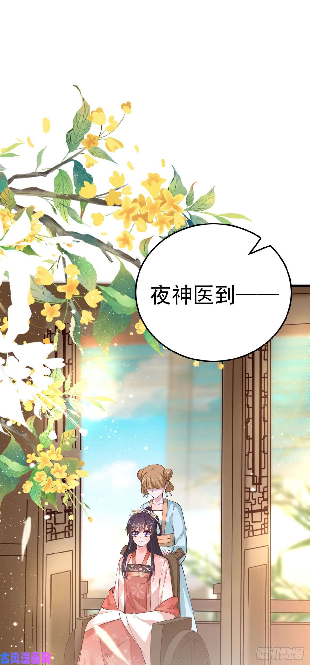 凤御邪王第34话 进宫