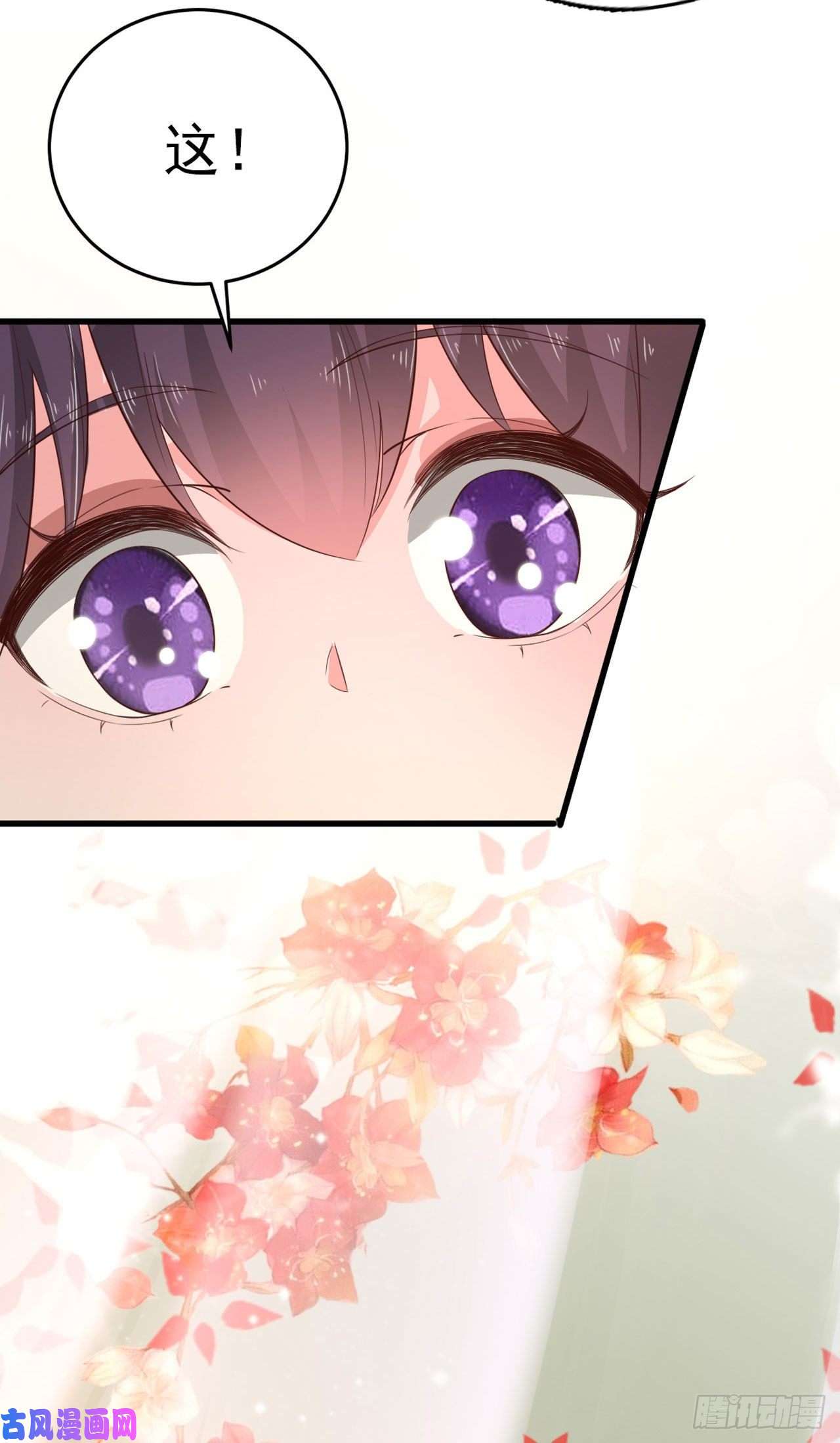 凤御邪王第34话 进宫