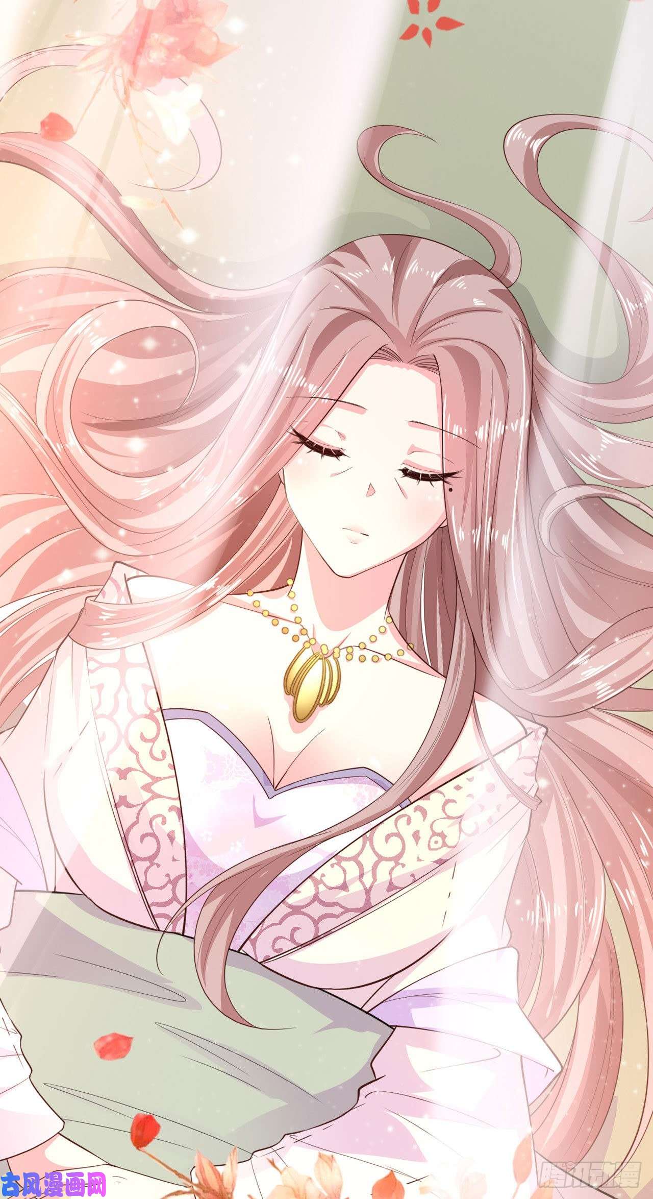 凤御邪王第34话 进宫