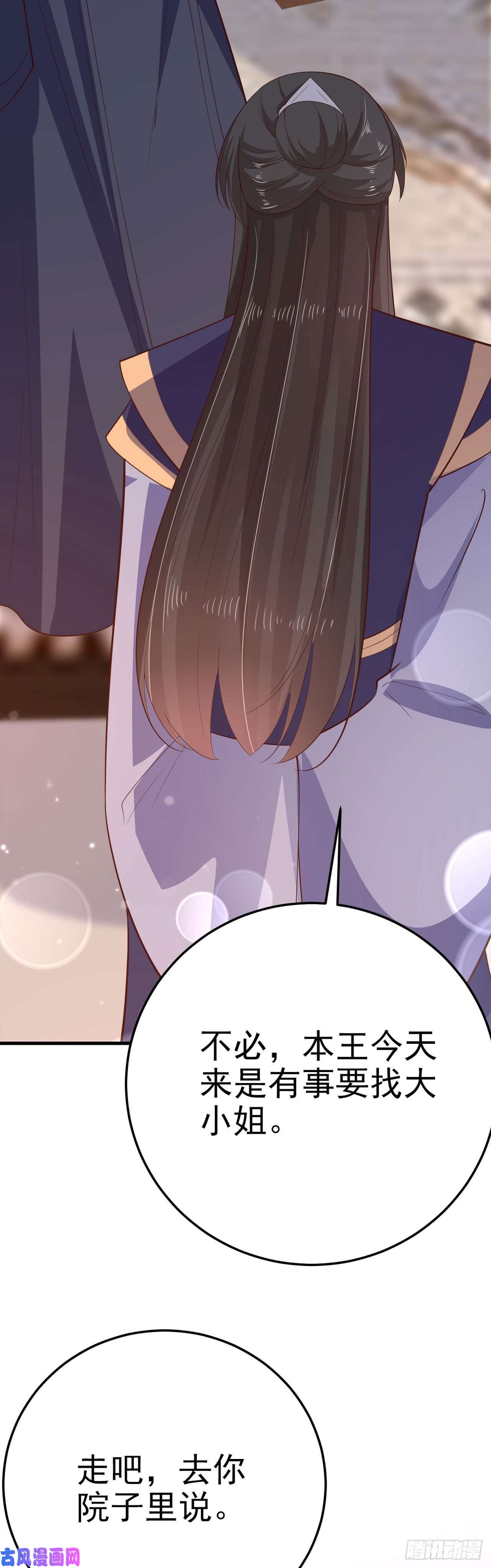 凤御邪王第34话 进宫