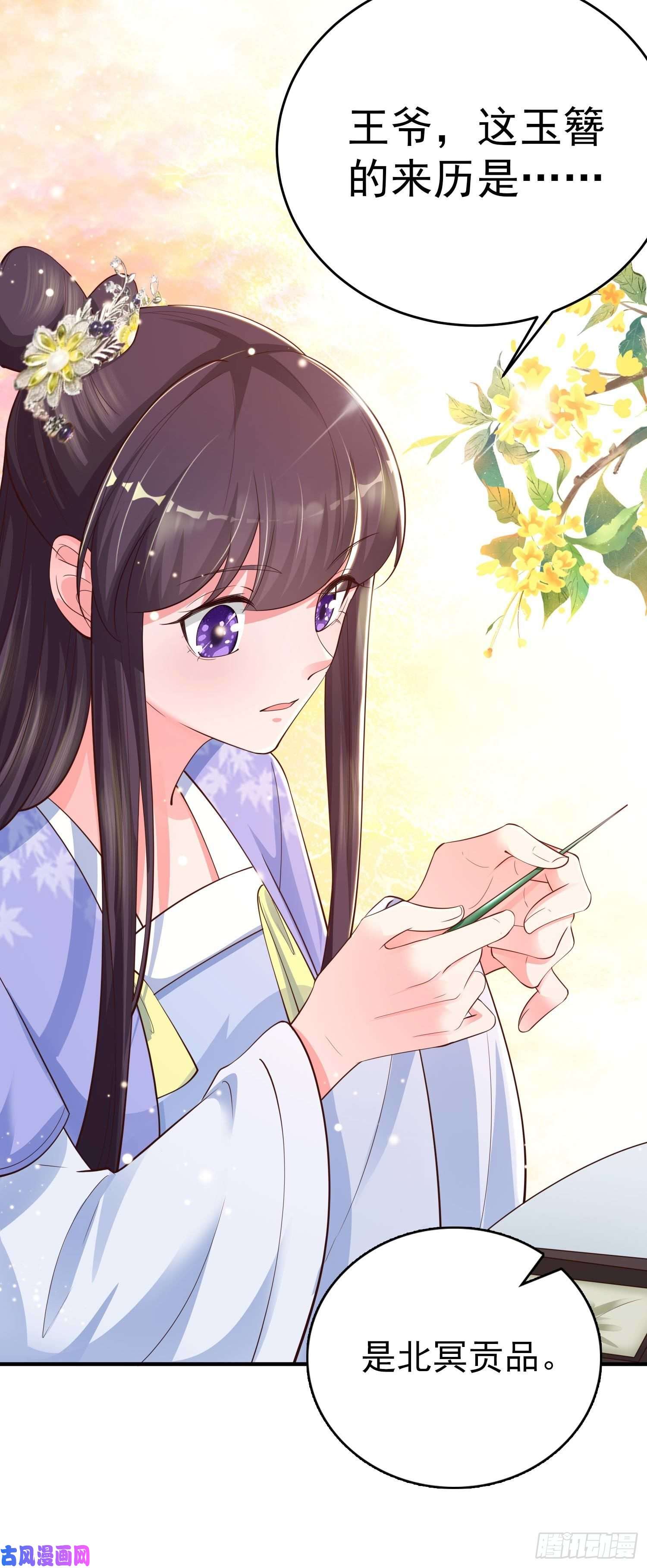 凤御邪王第39话 神医姐姐