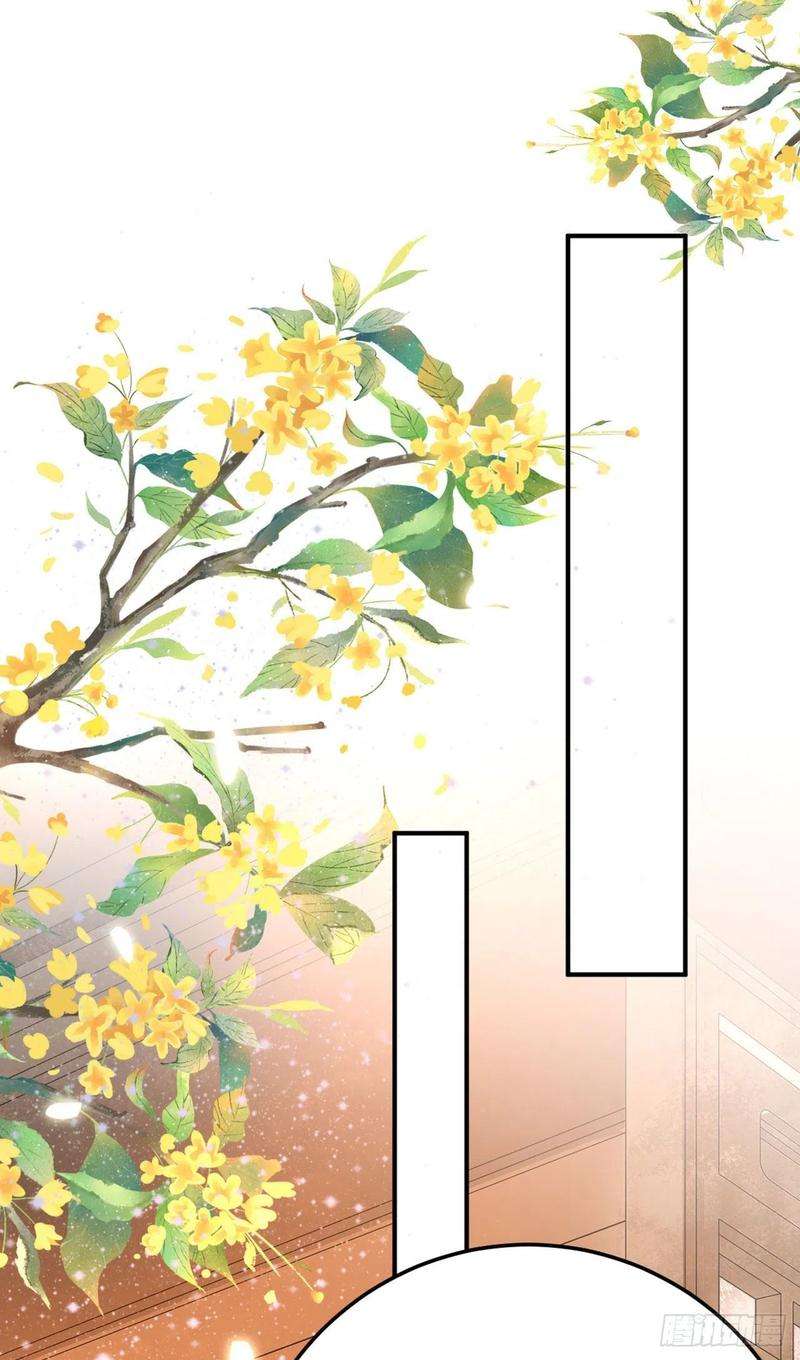 凤御邪王27话 陷阱