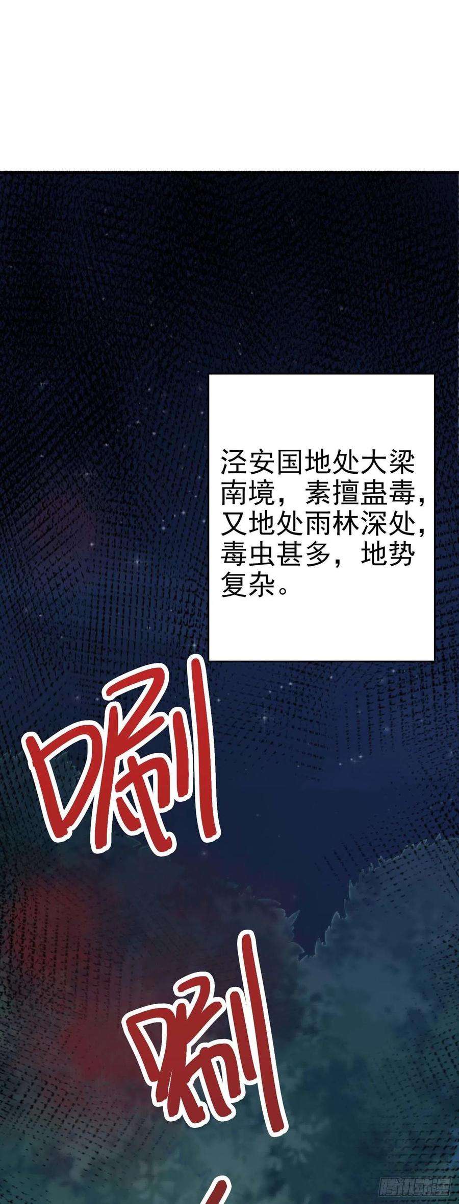 凤御邪王48话 泾安国