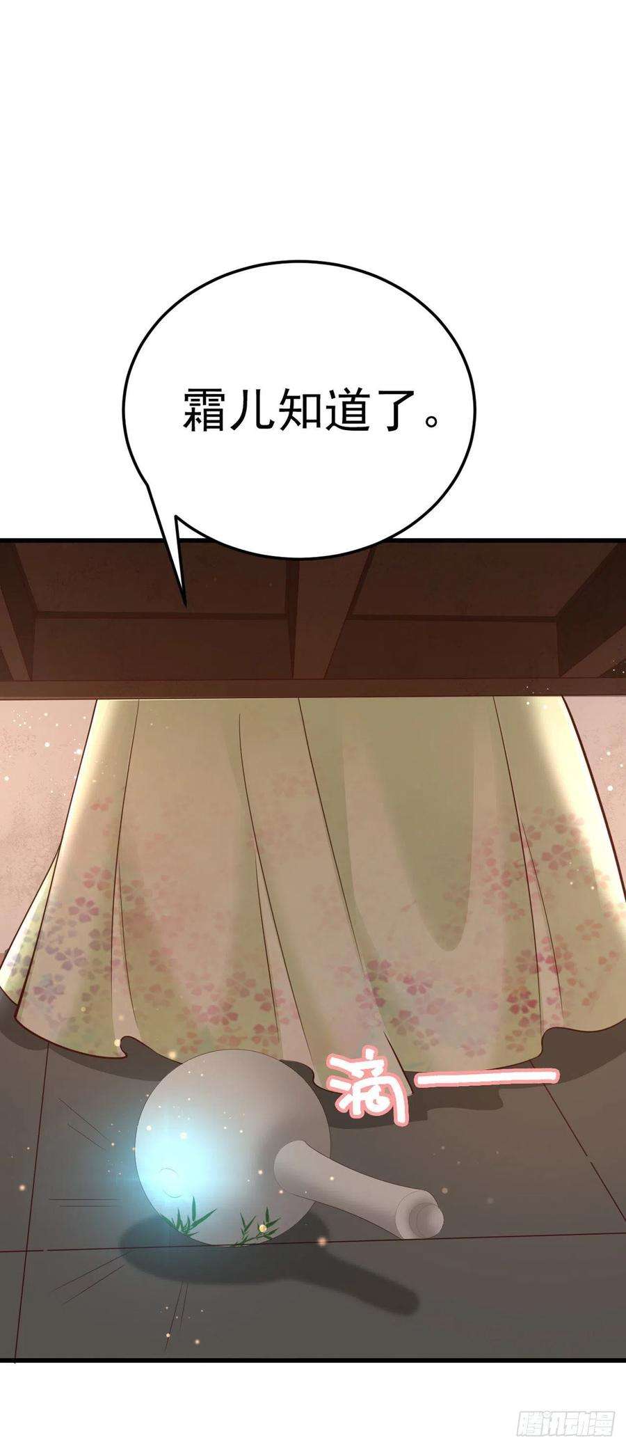 凤御邪王50话 聘礼