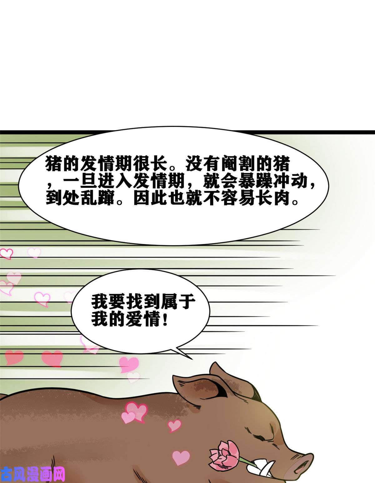 明朝败家子135 改良猪肉品质