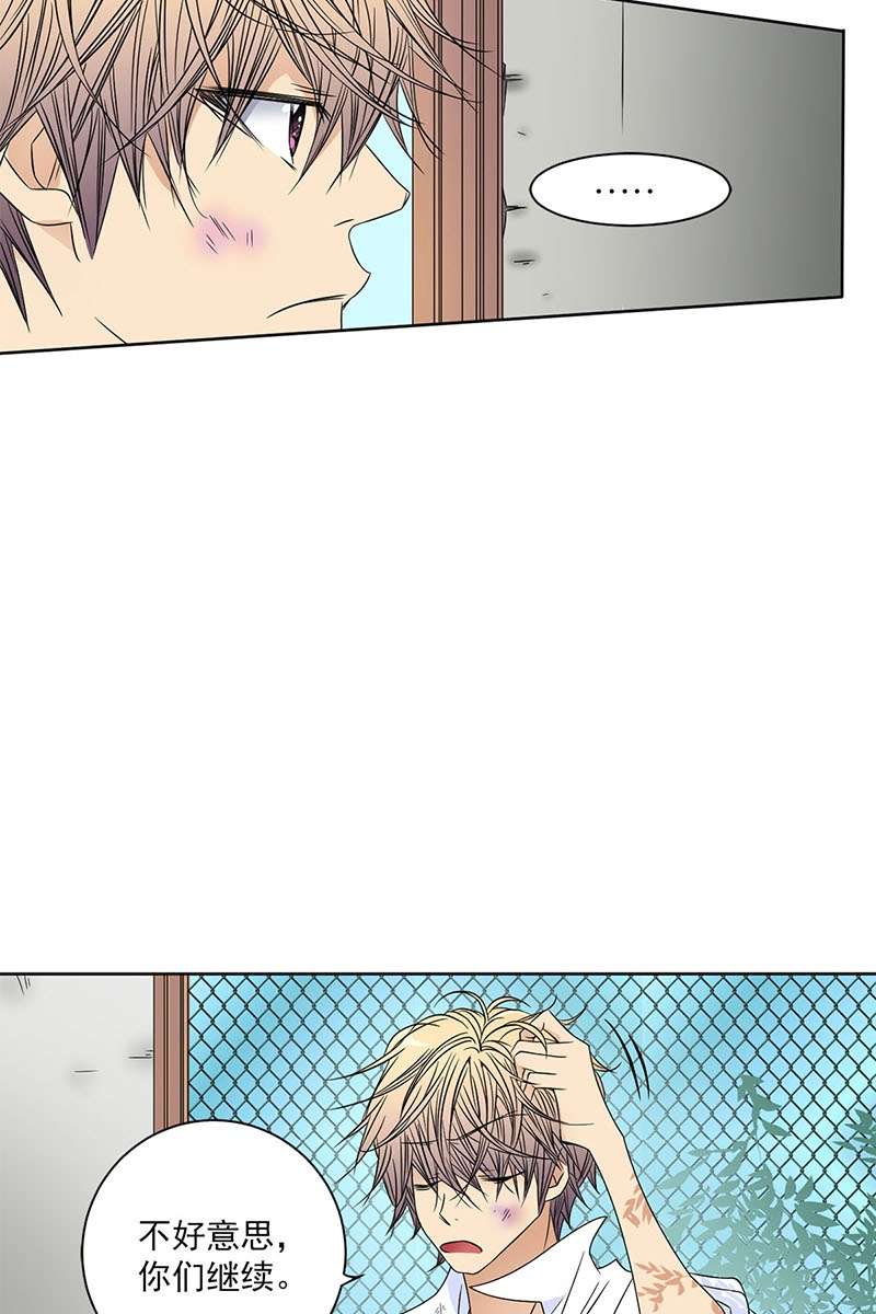 恋爱教育第26话上
