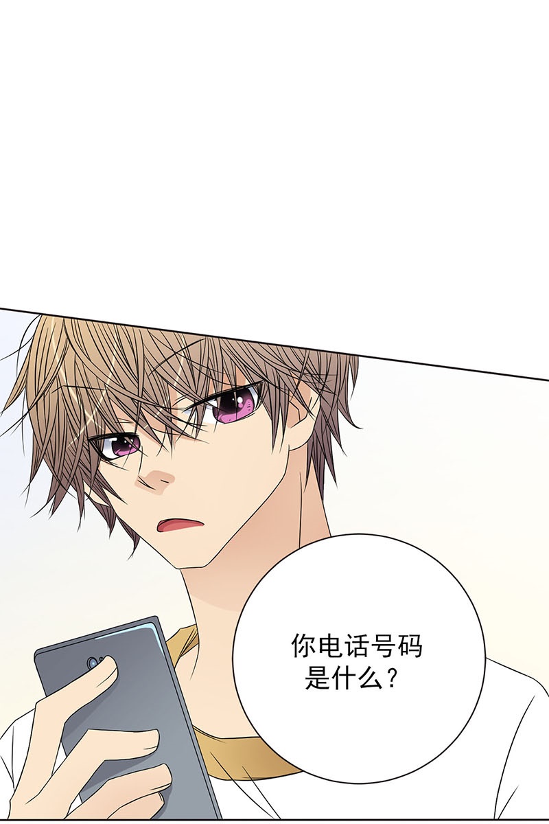 恋爱教育第29话上