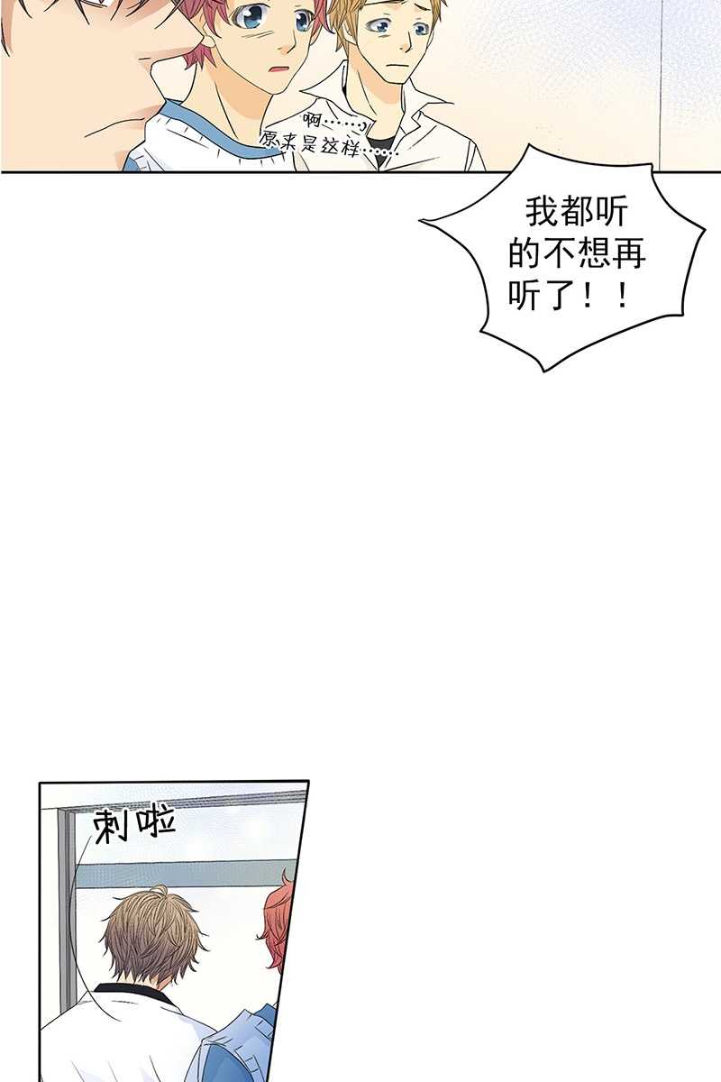 恋爱教育第36话上