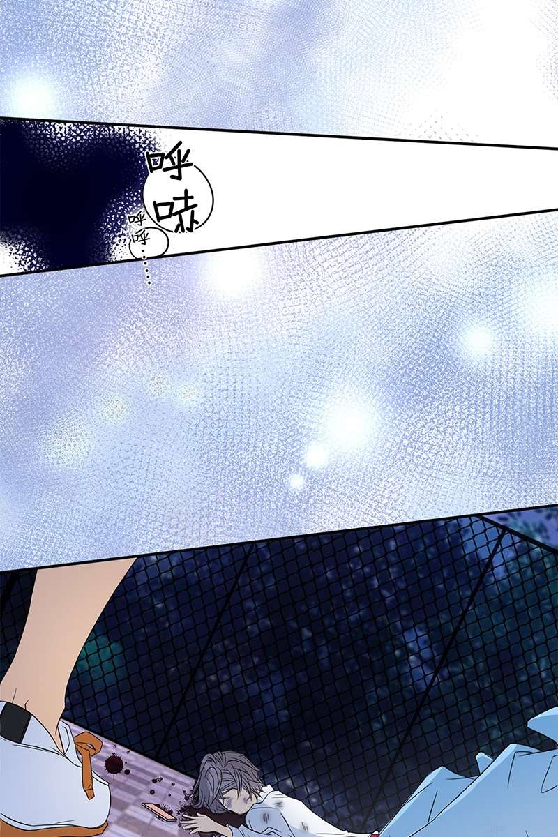恋爱教育第37话上
