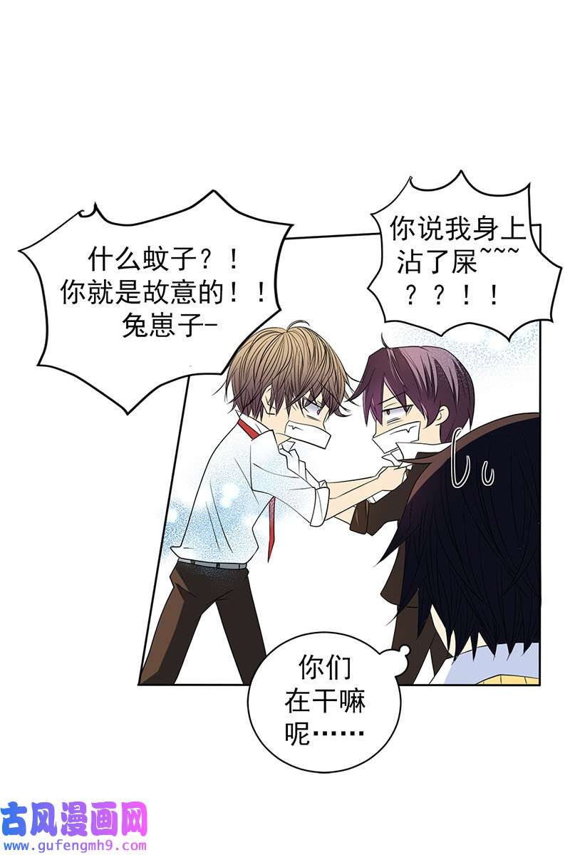 恋爱教育第39话下