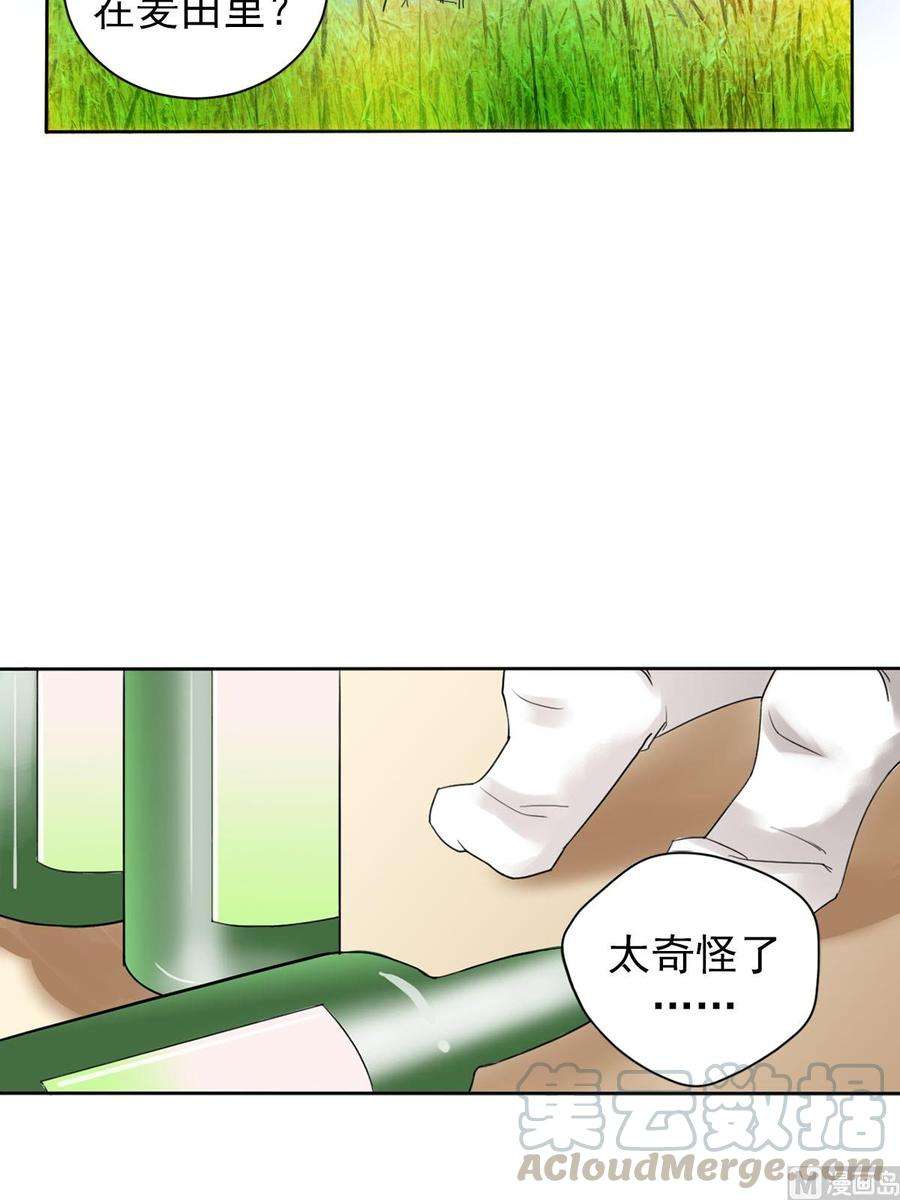 恋爱教育10话上
