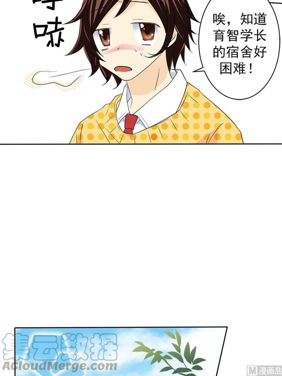 恋爱教育38话下