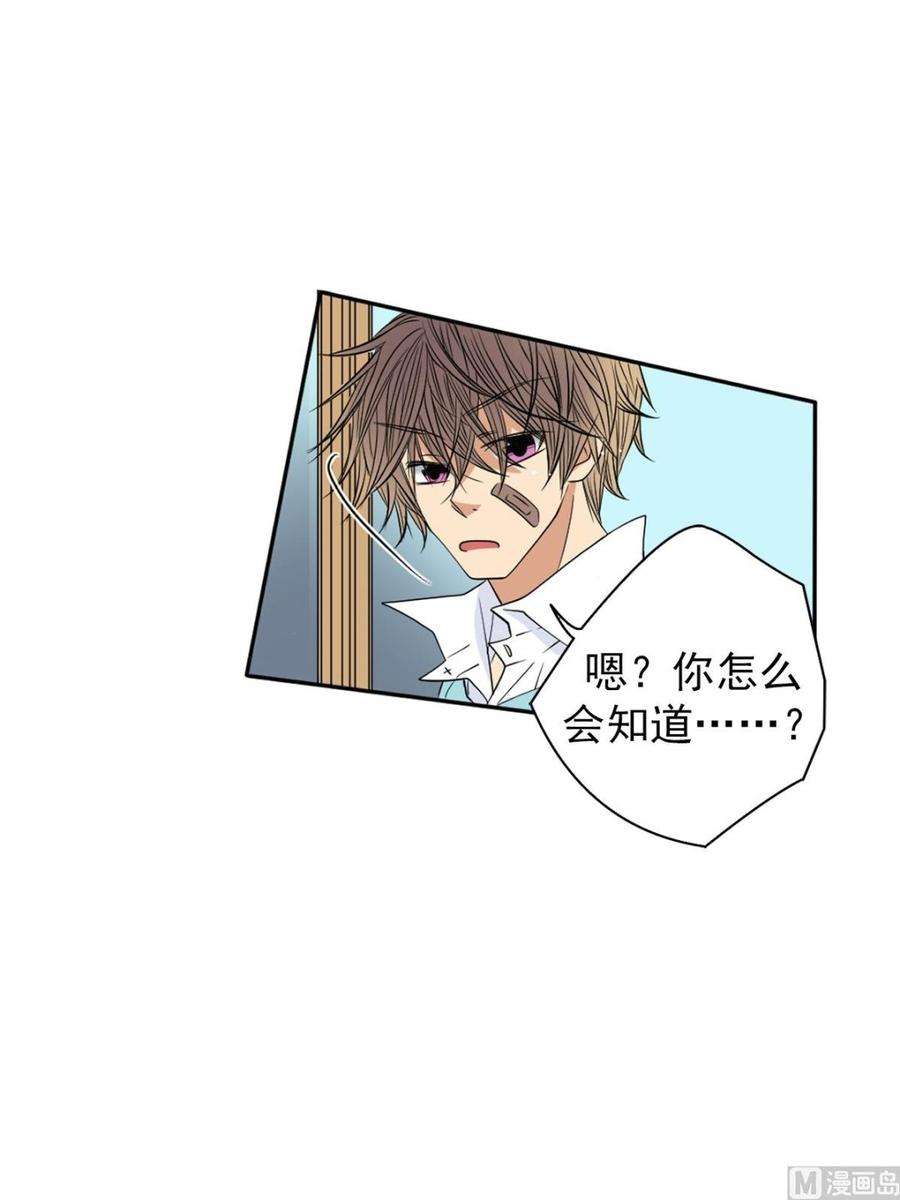 恋爱教育43话上