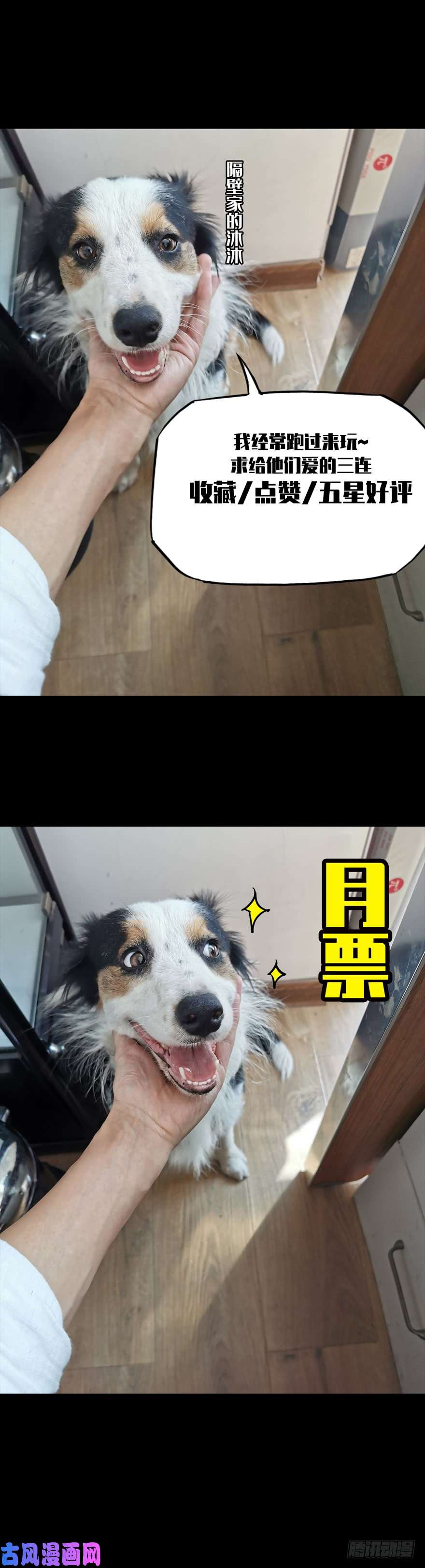 大象无形第二十四话/命数中
