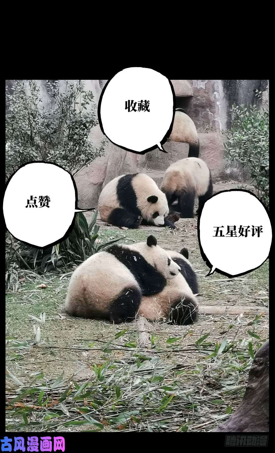 大象无形第二十四话/命数下