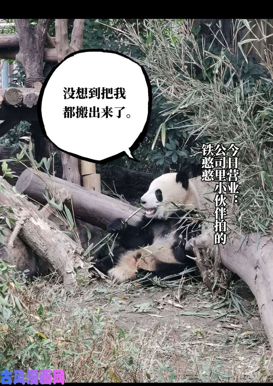 大象无形第二十四话/命数下