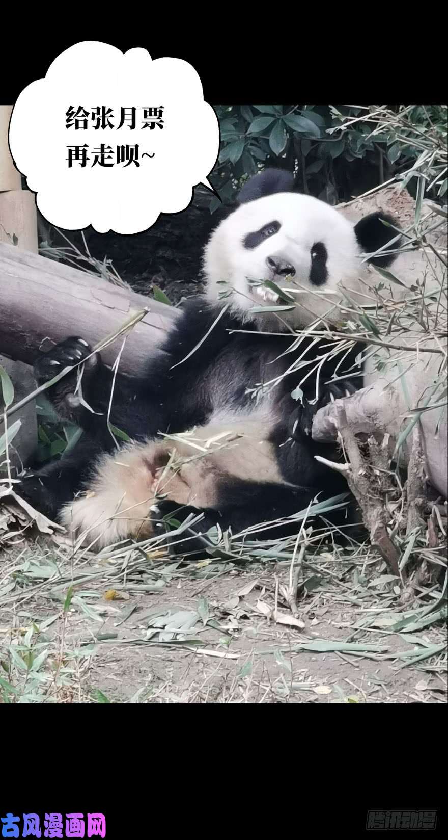大象无形第二十四话/命数下
