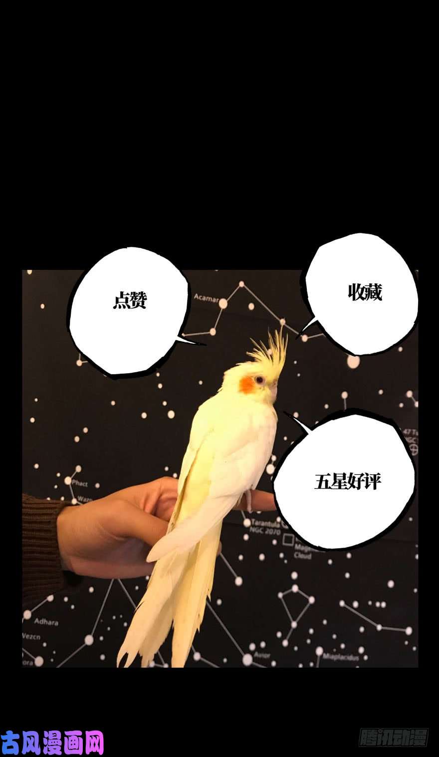 大象无形第三十九话/洗砚古宅中